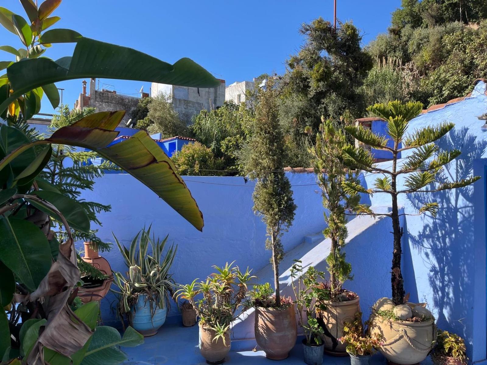 Dar Onsar - Photo 32