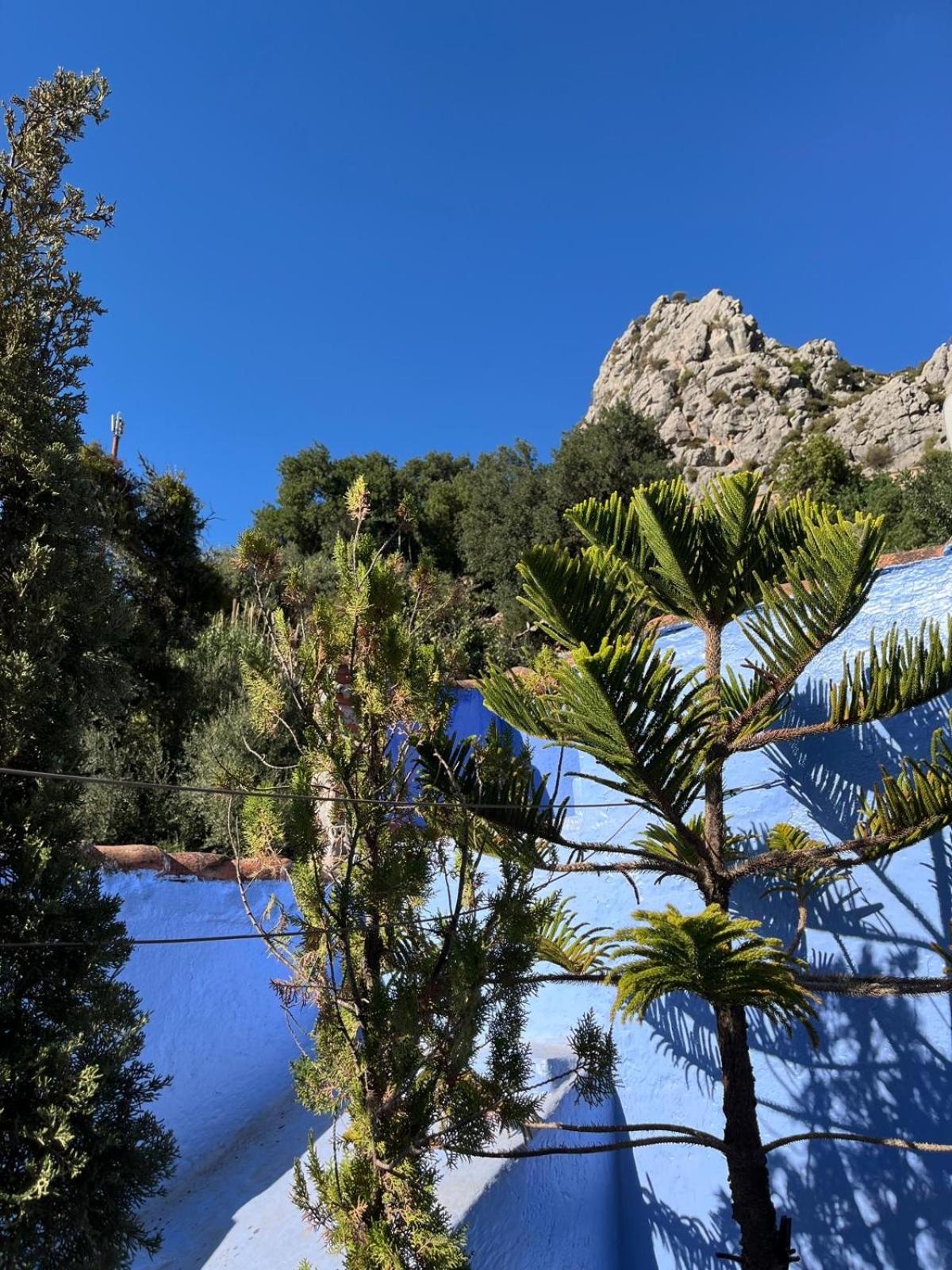 Dar Onsar - Photo 27