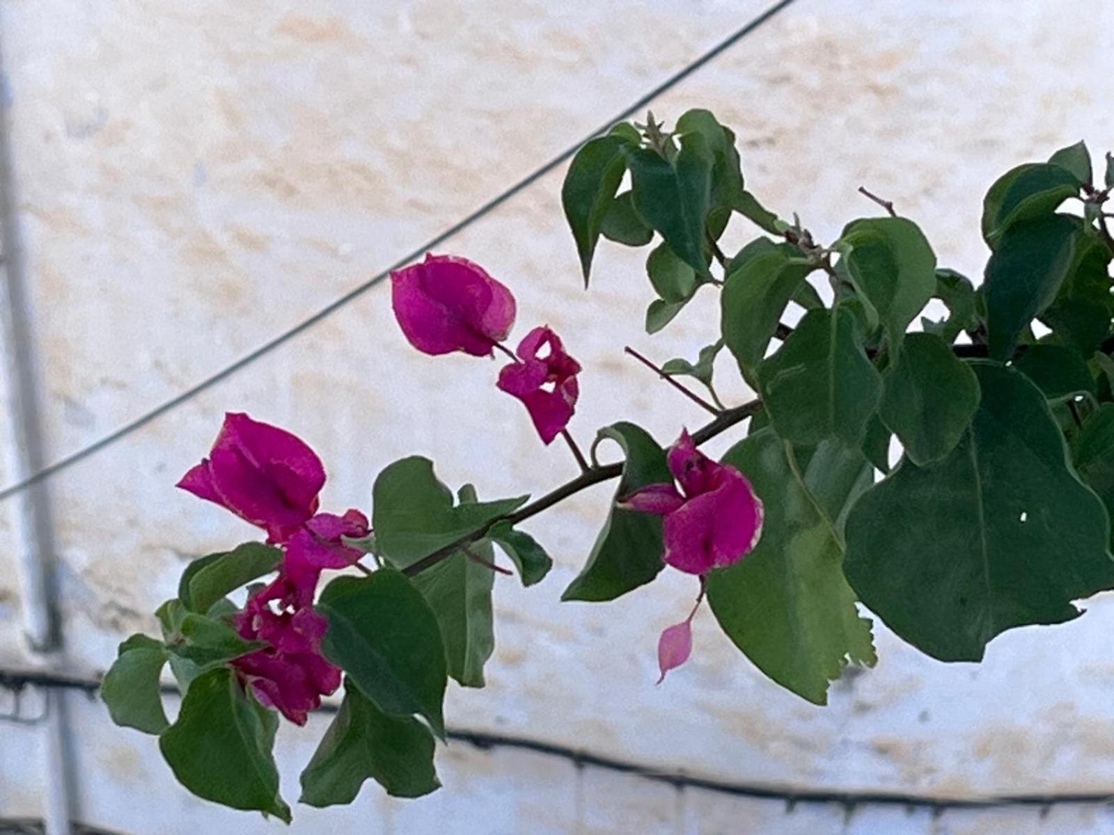 Dar Onsar - Photo 65