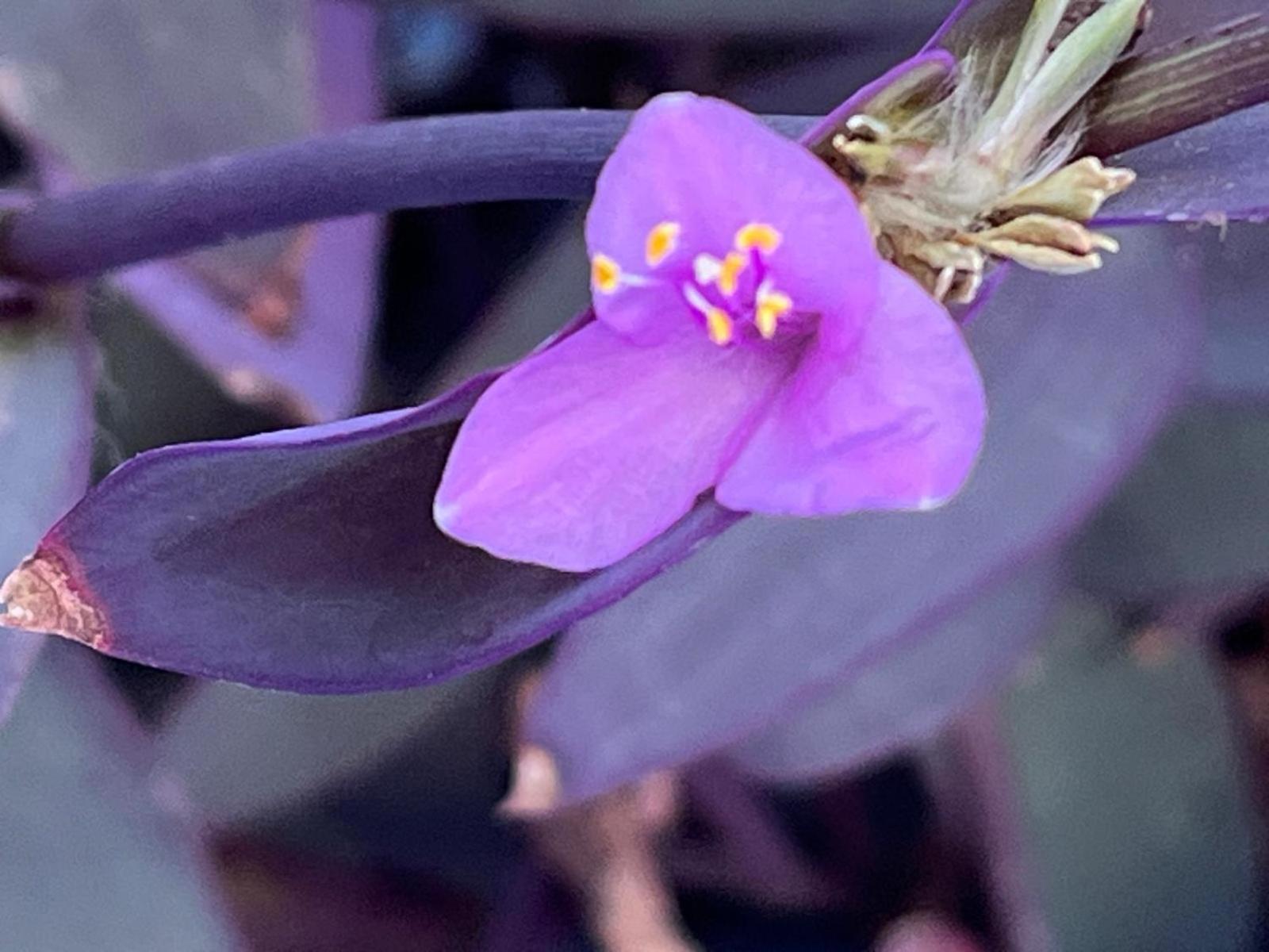 Dar Onsar - Photo 30