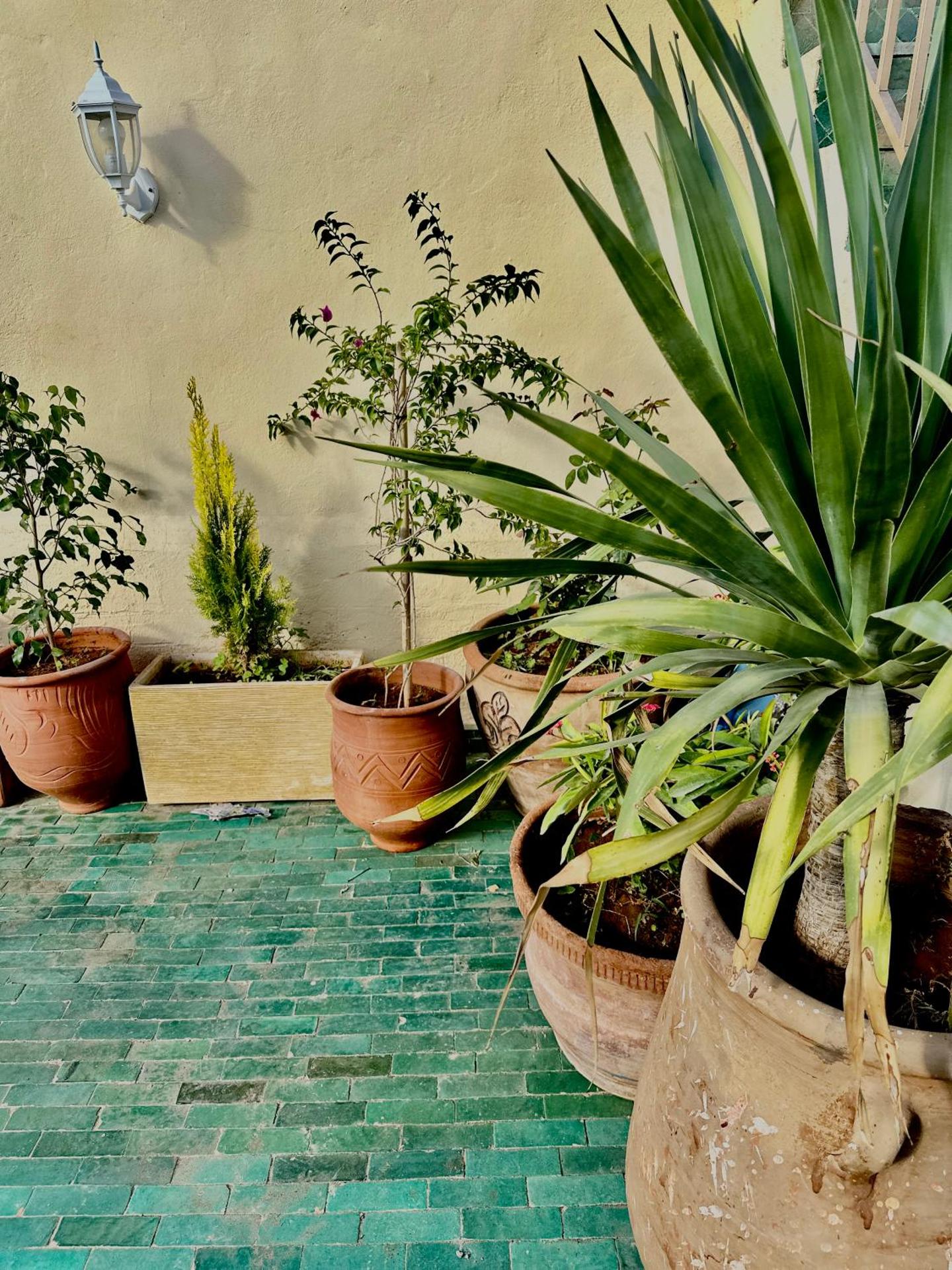 Riad Damia Suite & Spa - Photo 108