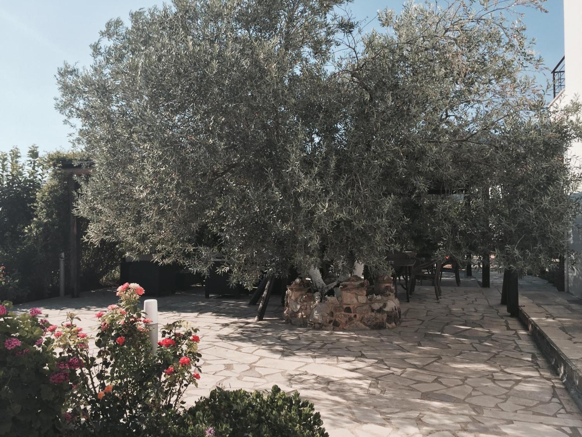 Hani Inn - Photo 36