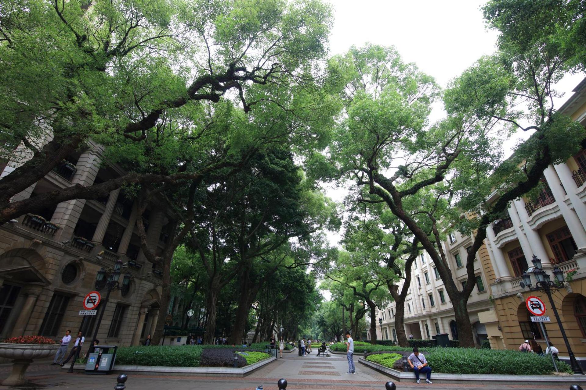 Nanfang Dasha Hotel - Photo 52