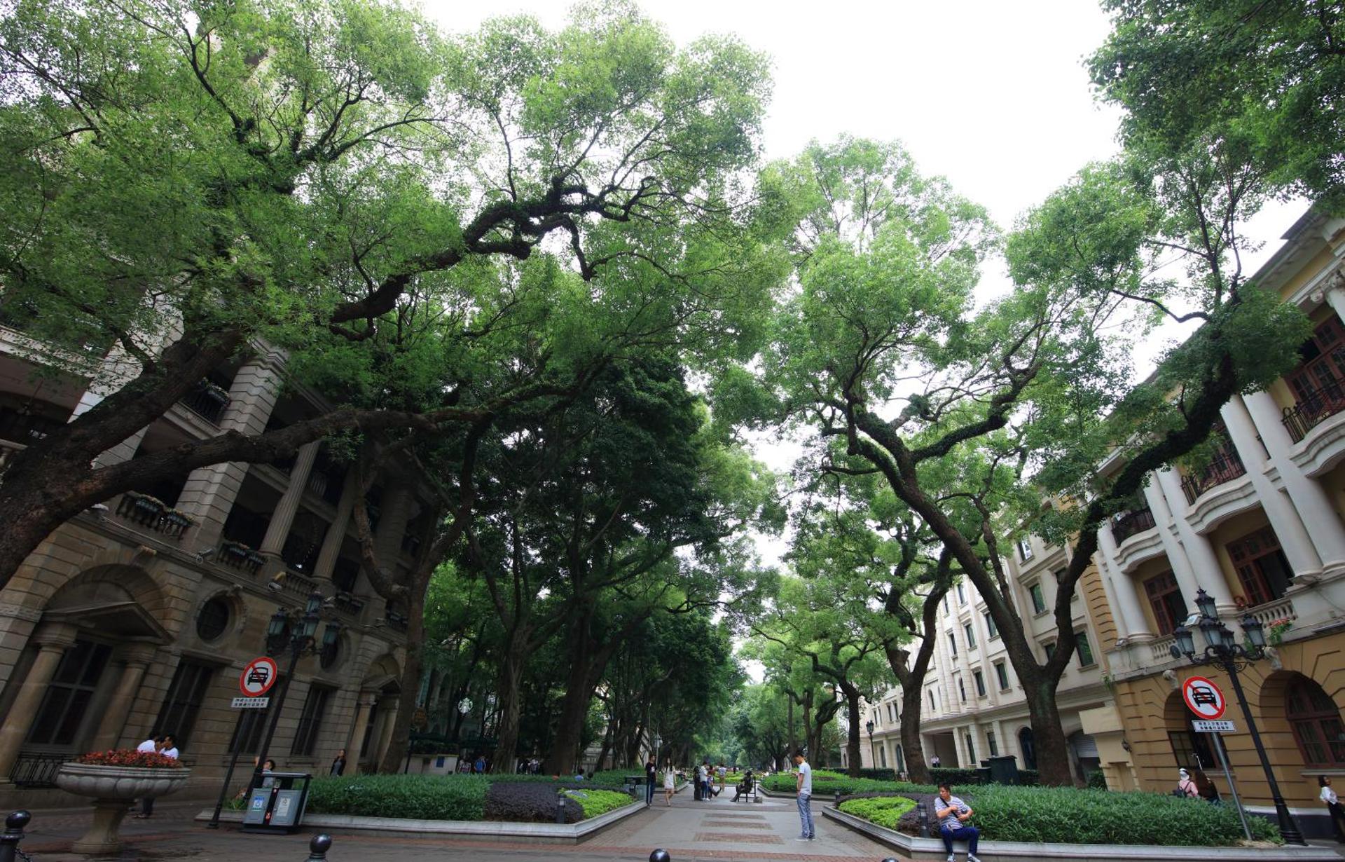 Nanfang Dasha Hotel - Photo 58