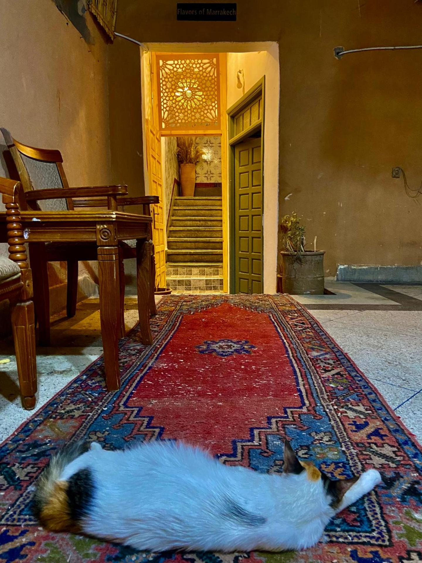 Dar Koutobia Stars - Photo 27