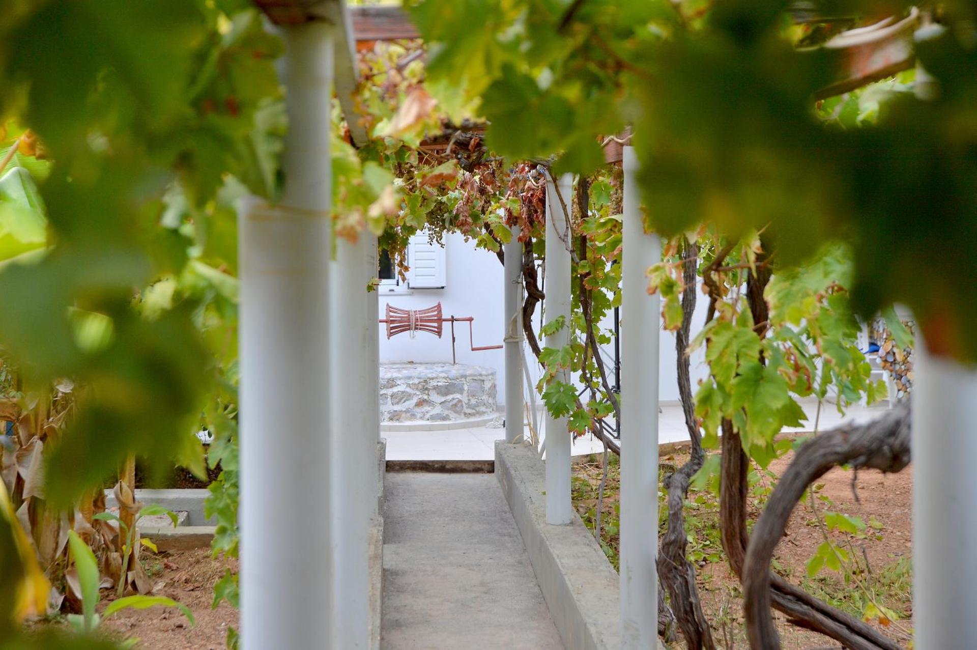 Vasilaras Hotel - Photo 93