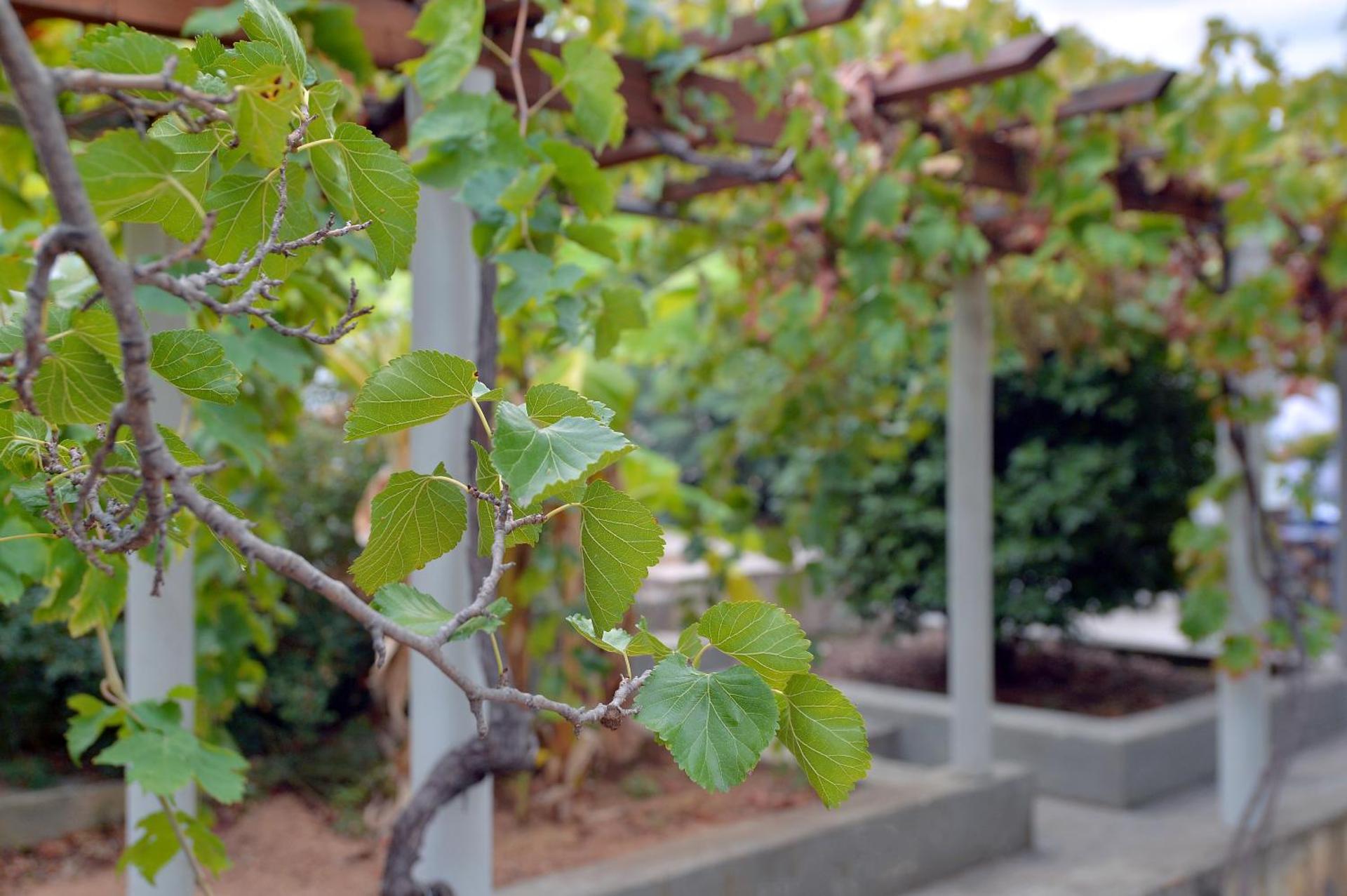 Vasilaras Hotel - Photo 106