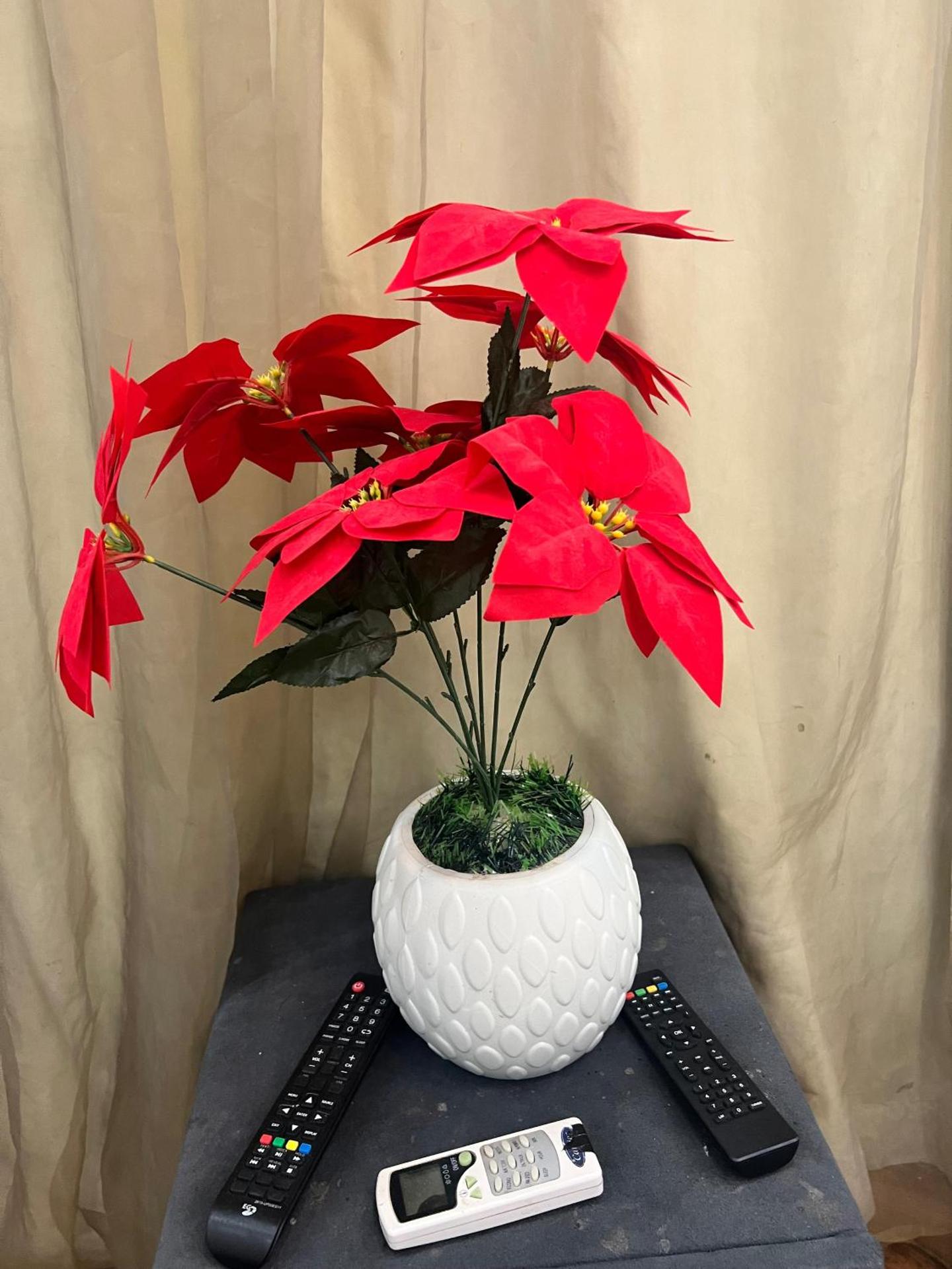 Pyramids Kingdom RZ Hotel - Photo 4