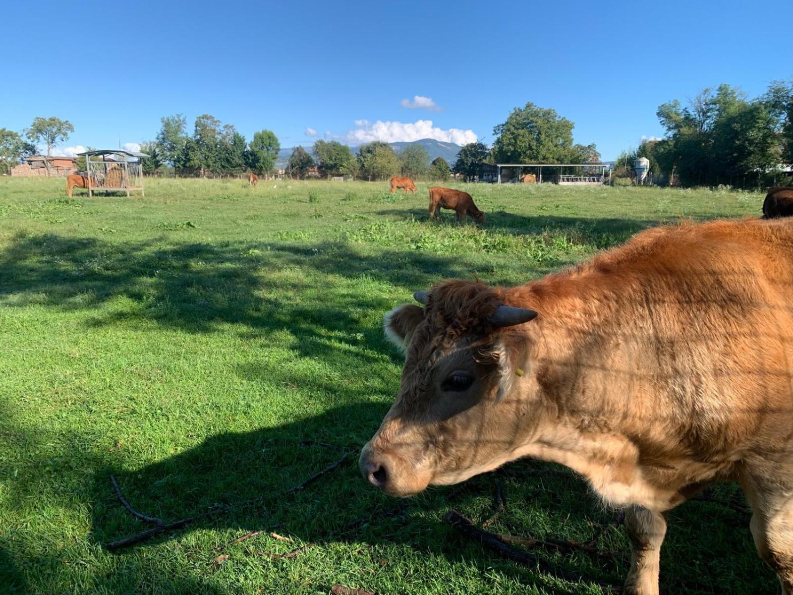 Agriturismo Corte Bonetti - Photo 22