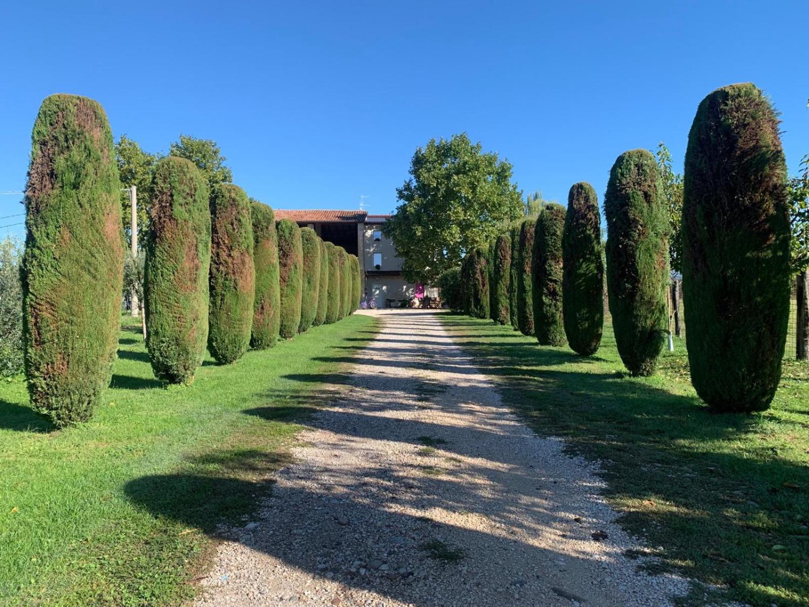 Agriturismo Corte Bonetti - Photo 5