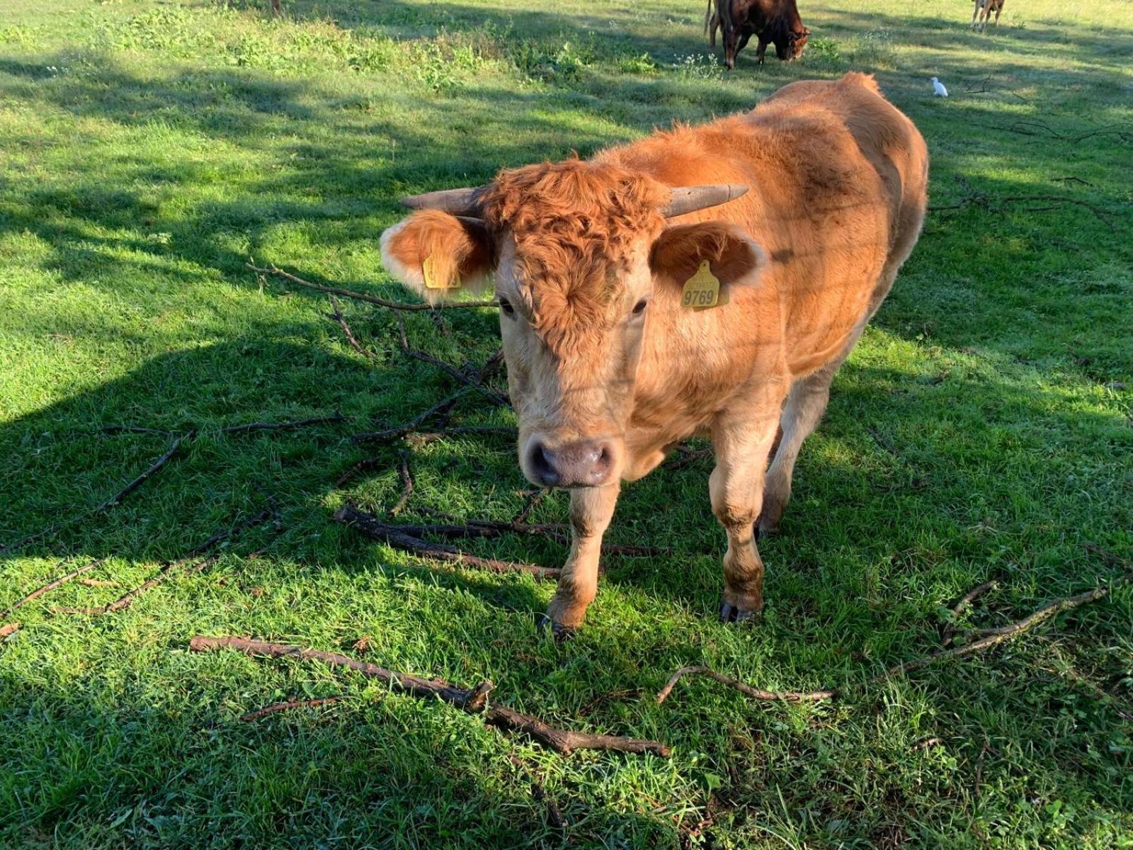 Agriturismo Corte Bonetti - Photo 23