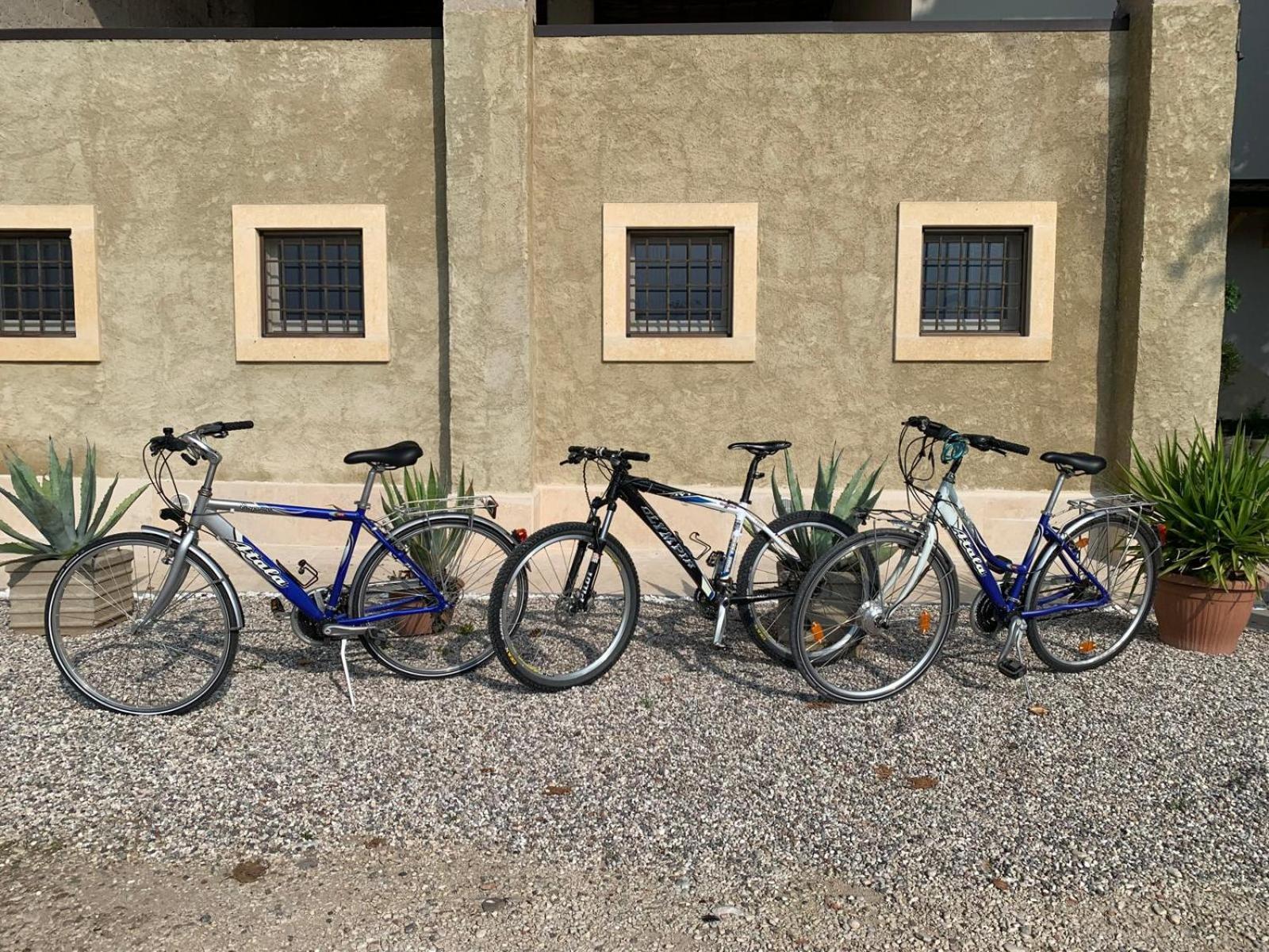 Agriturismo Corte Bonetti - Photo 27