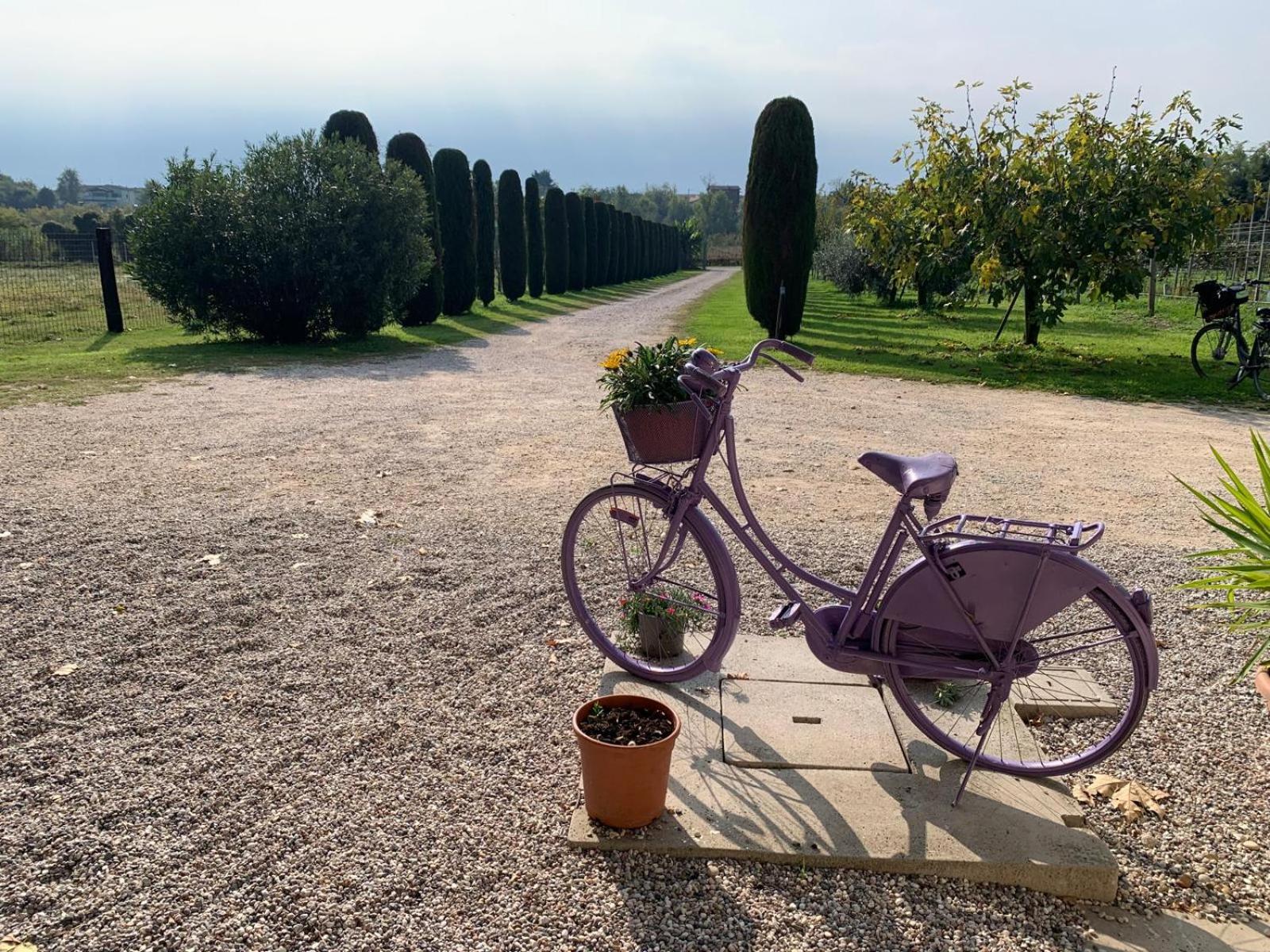 Agriturismo Corte Bonetti - Photo 32