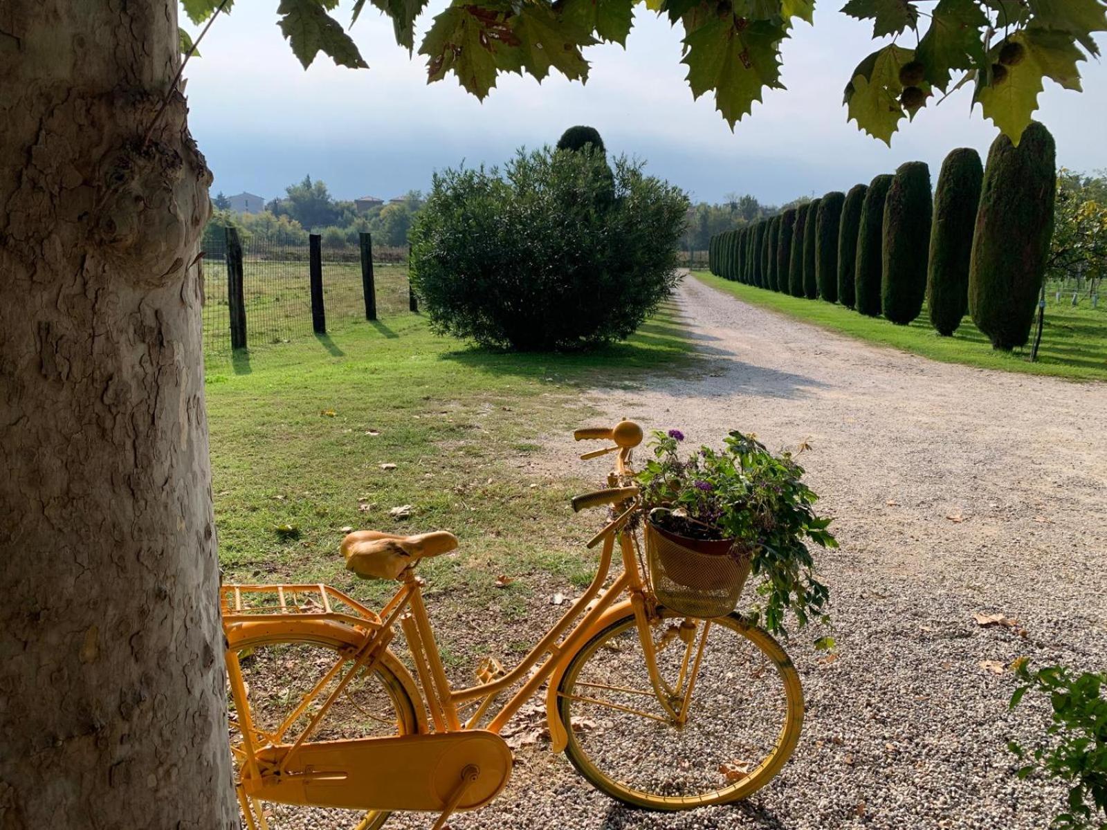 Agriturismo Corte Bonetti - Photo 31