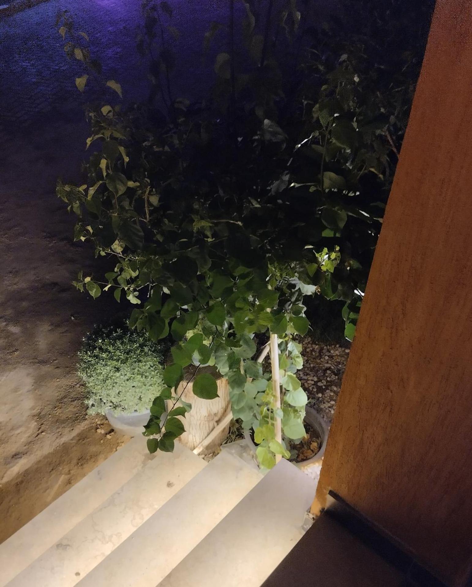 Perla Pyramids Palace - Photo 11