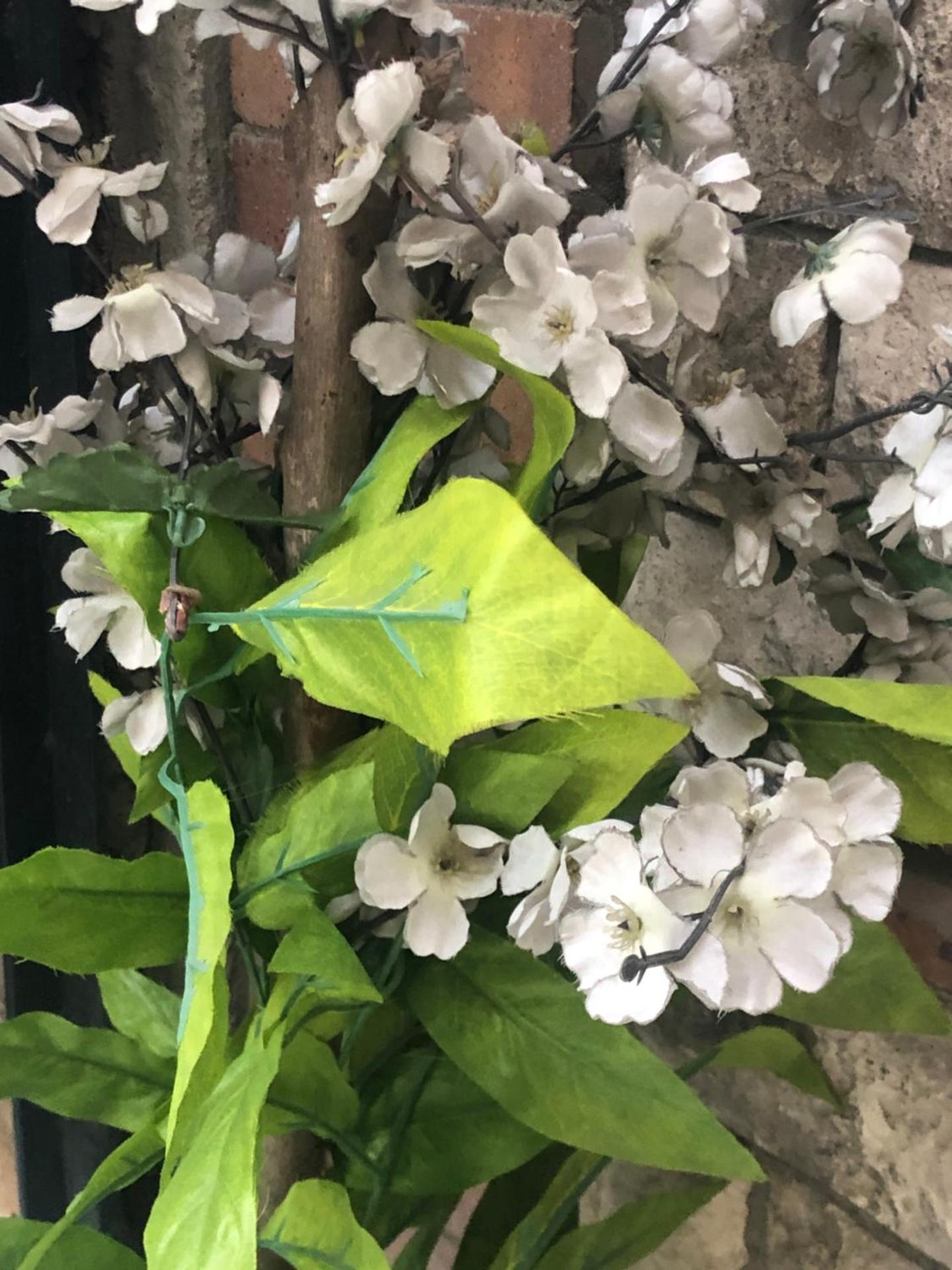 Indian pyramids hotel - Photo 4