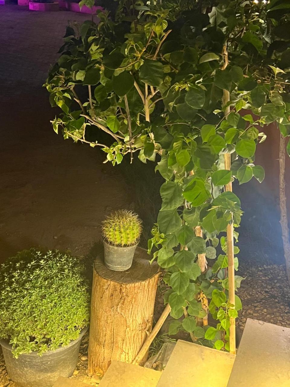 Perla Pyramids Palace - Photo 33