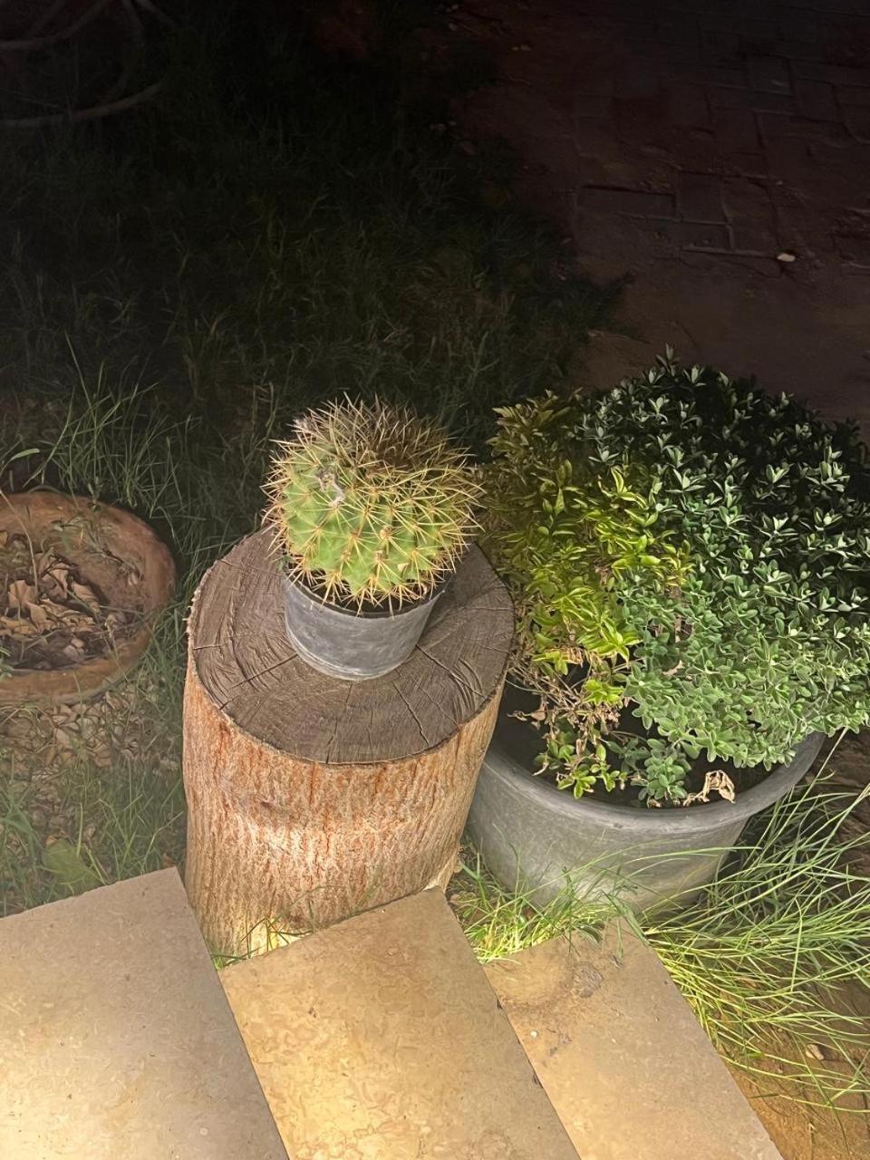 Perla Pyramids Palace - Photo 31