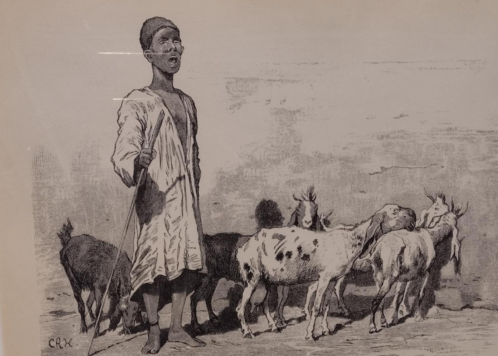 Perla Pyramids Palace - Photo 16