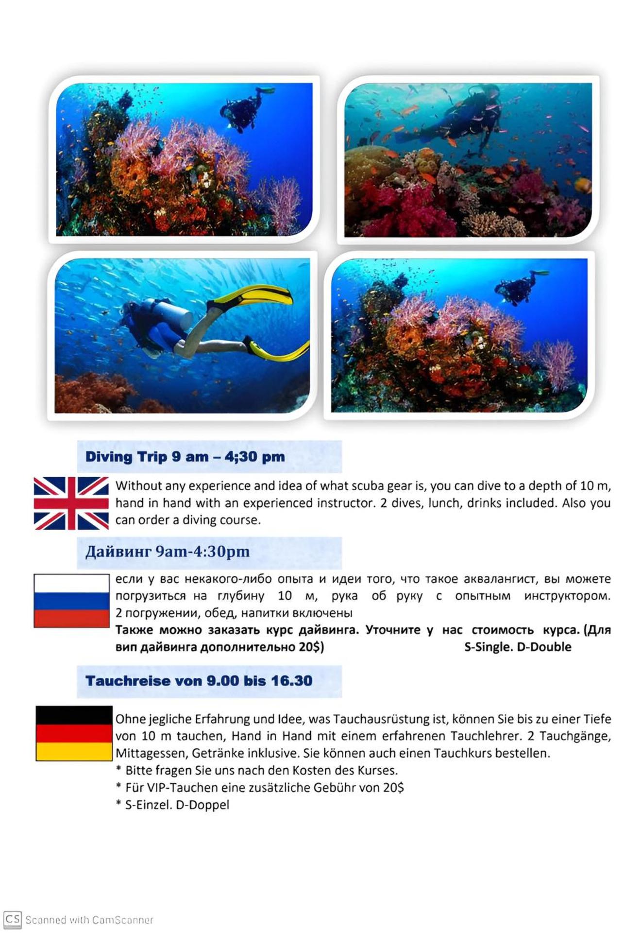 Juliana Beach Elite Queen T Collection - Photo 72