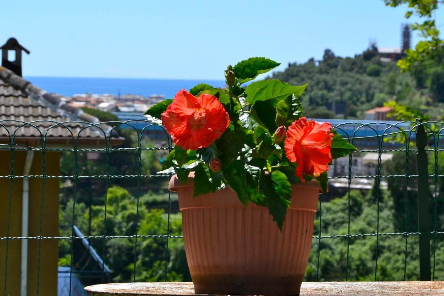 Villa Daria a 2 Km dal mare golfo del Tigullio - Photo 6