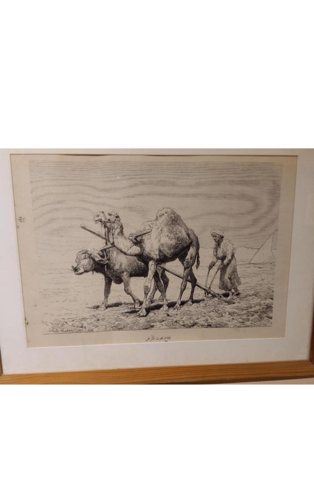 Falcon pyramids inn - Photo 74