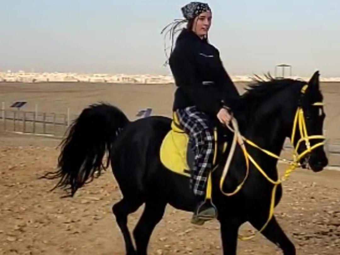 Falcon pyramids inn - Photo 60