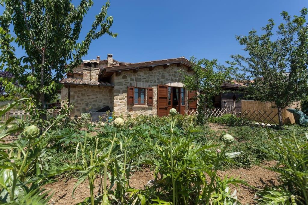 Il Belvederino - Photo 115
