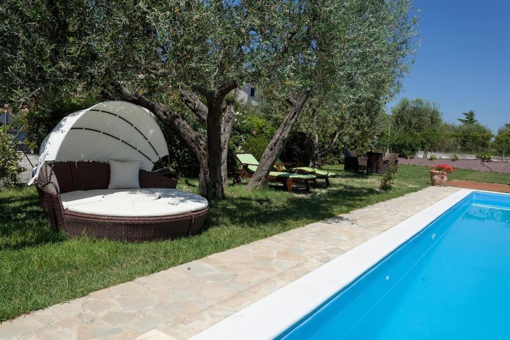 Il Belvederino - Photo 114