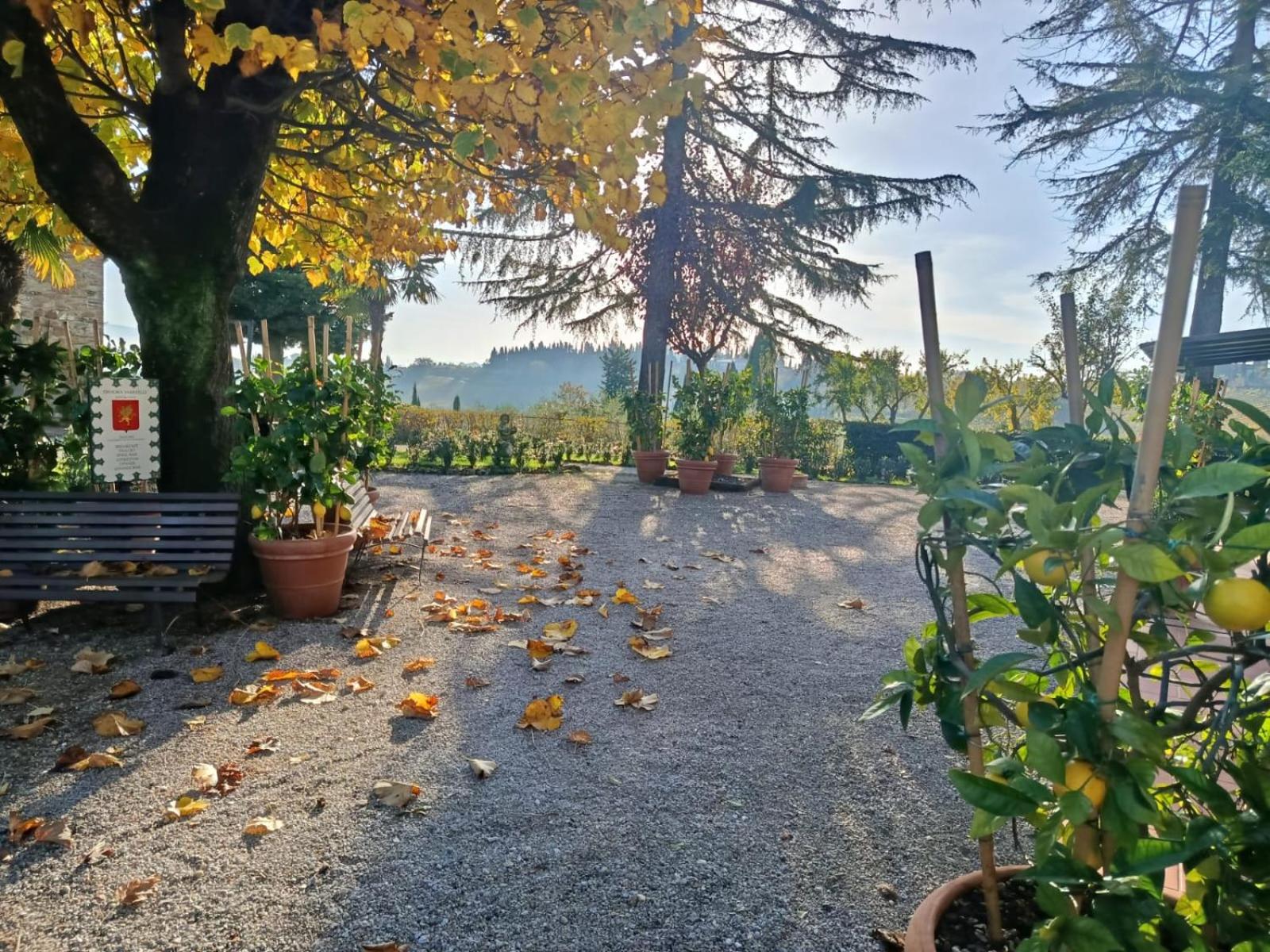 Il Casale Del Cotone - Photo 51