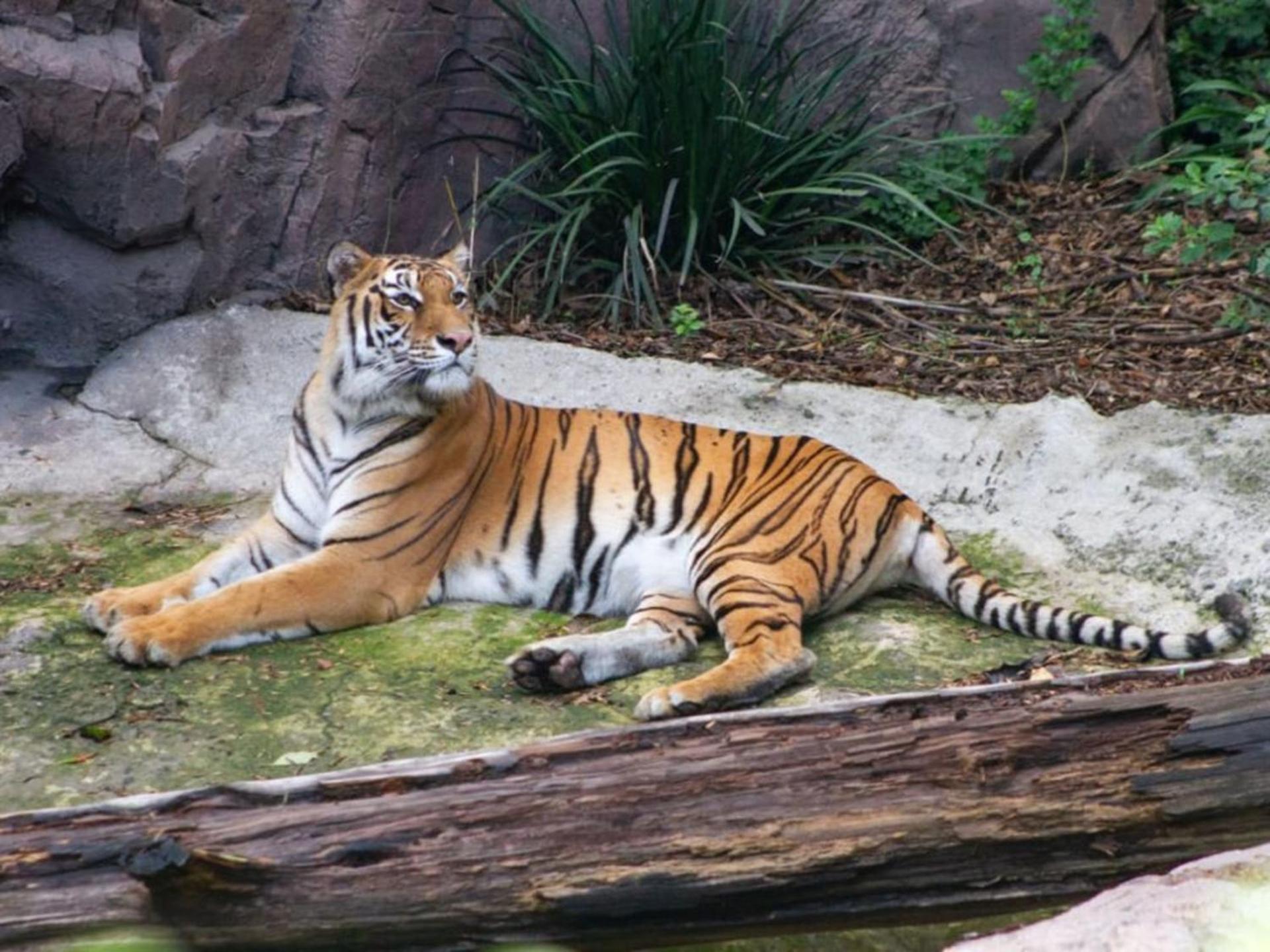 Holiday Inn Express Ciudad de Mexico Condesa by IHG - Photo 4