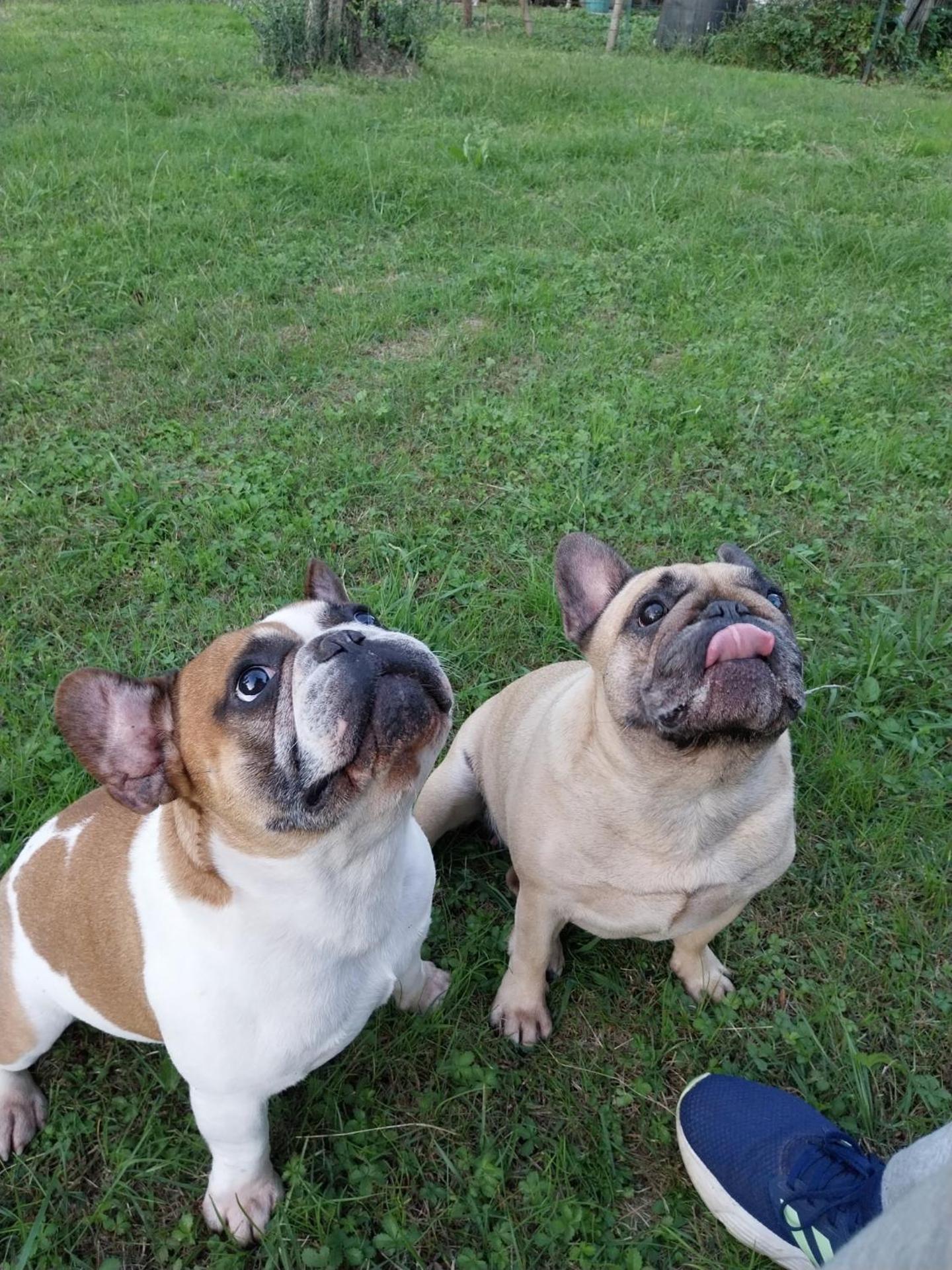 La Casa Gialla A MONTIGNOSO - Photo 21