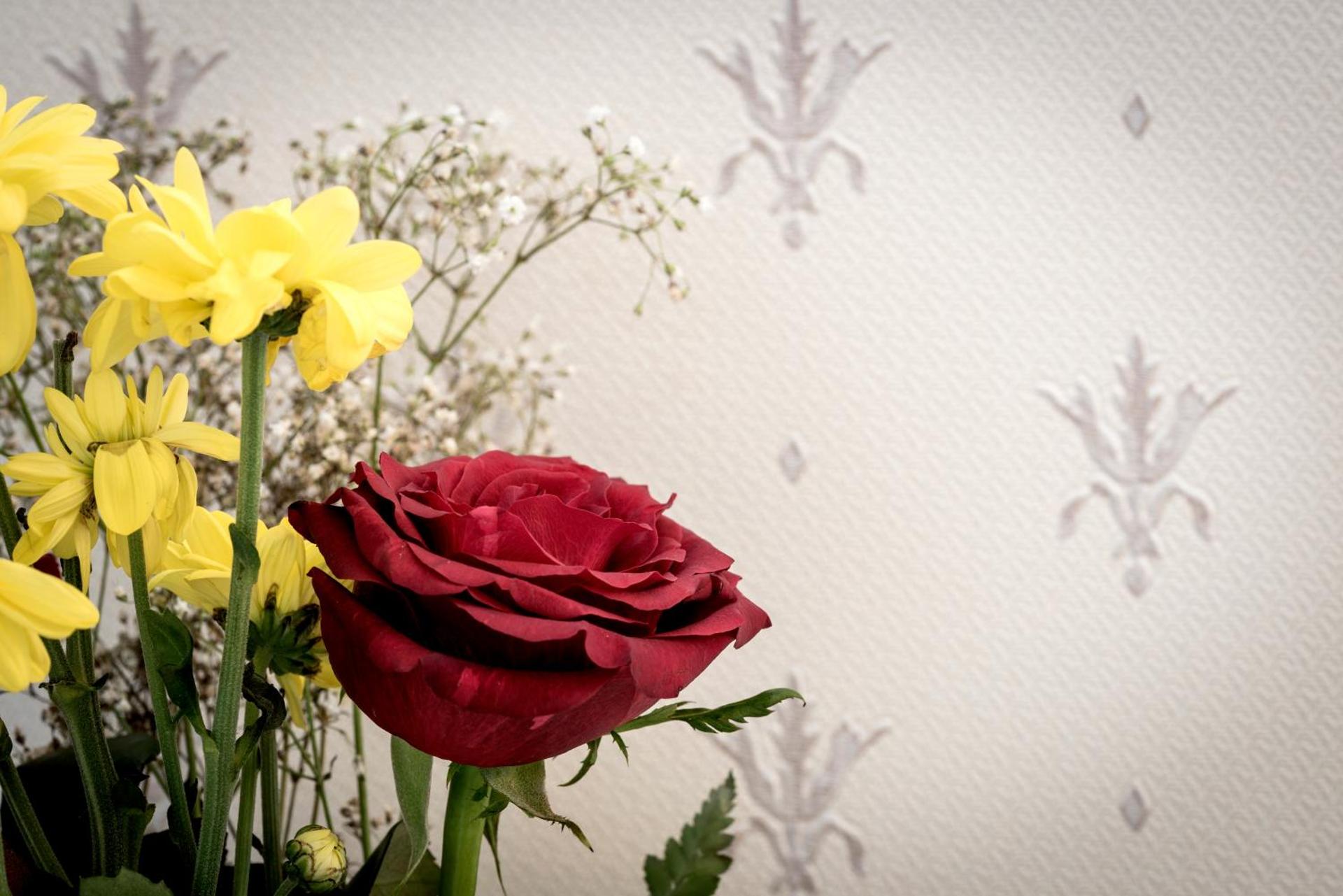 Hotel Metropole Suisse - Photo 2