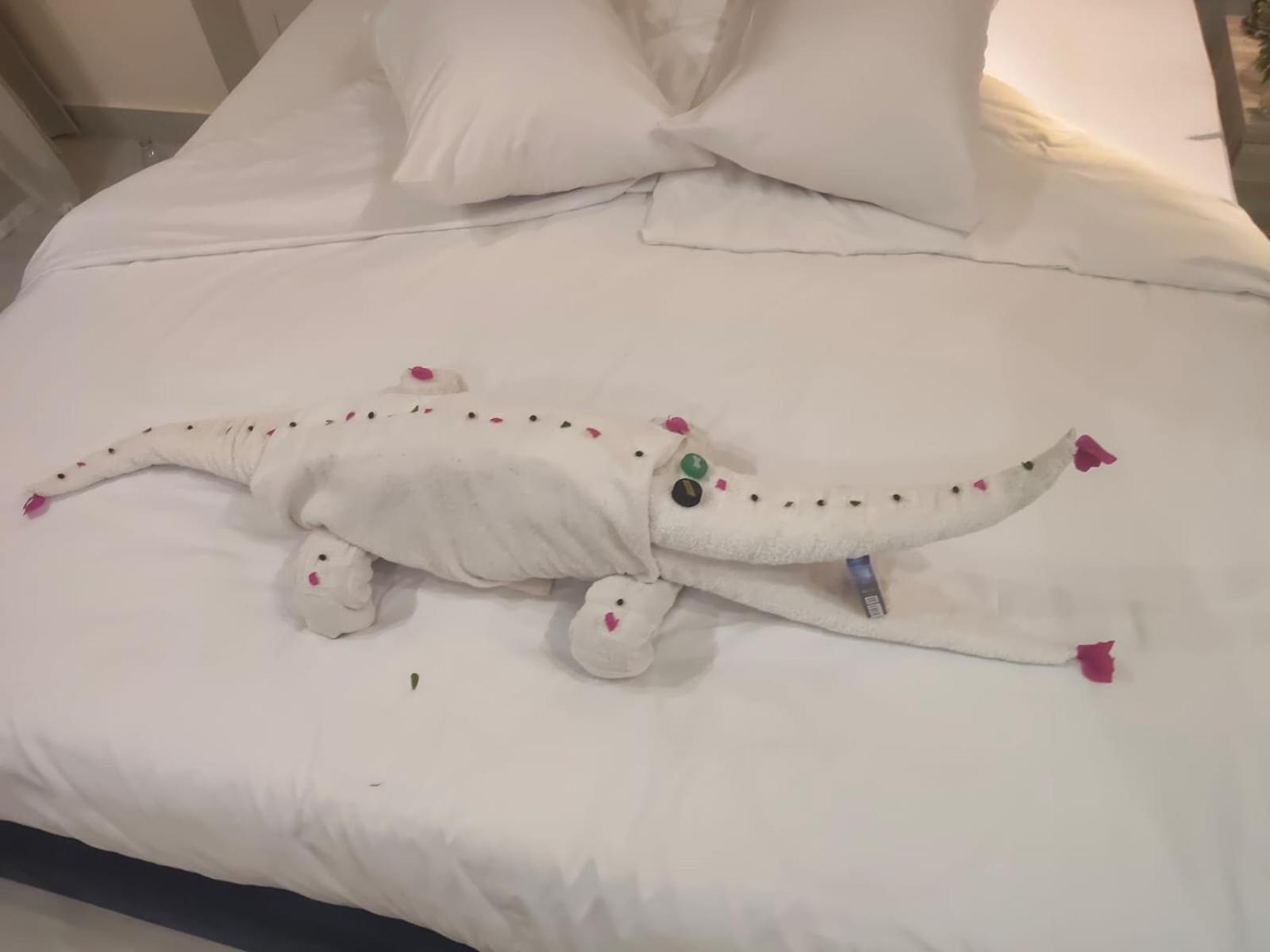 Lilyland Beach Resort & Waterpark - Photo 26