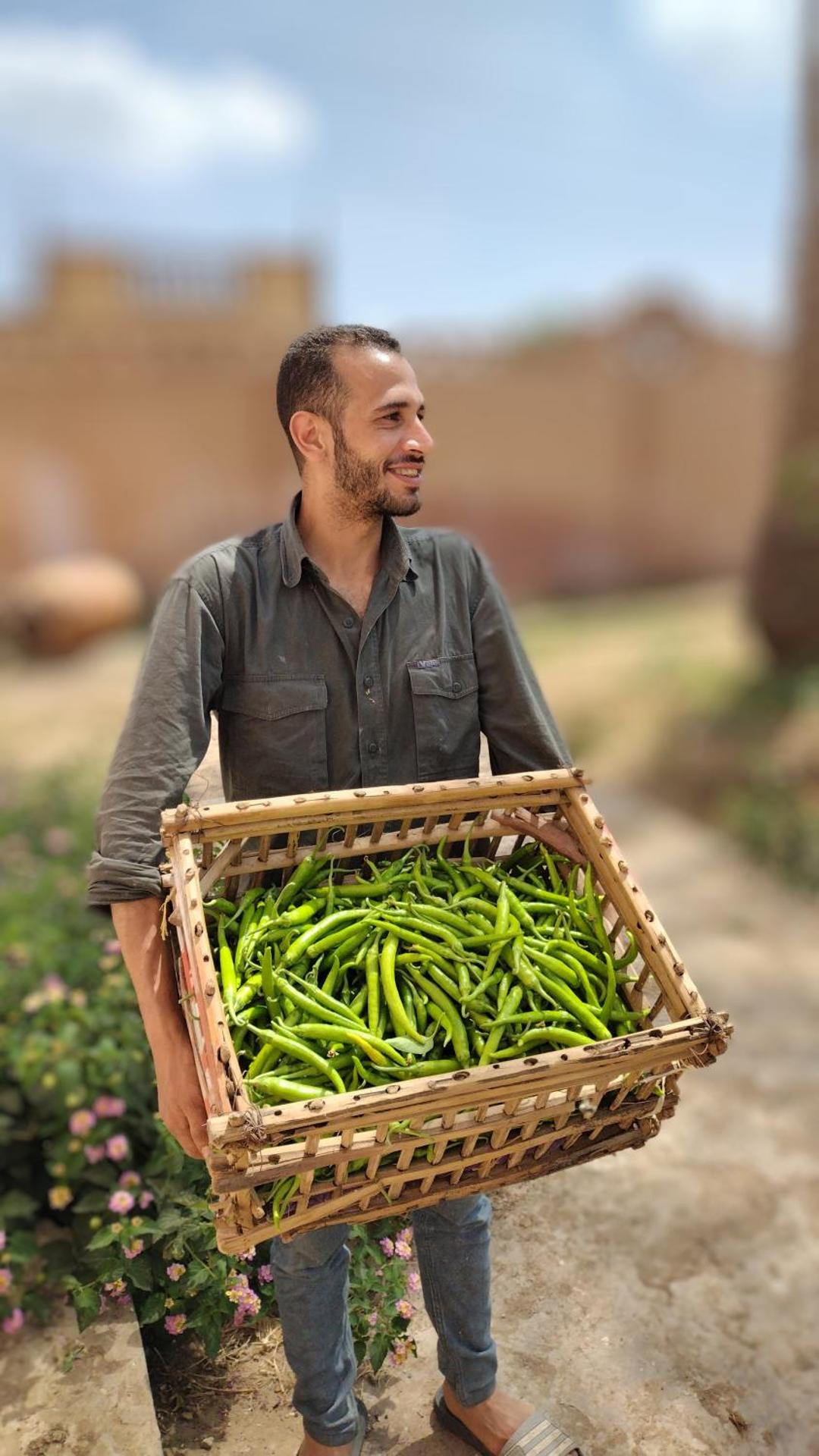 Alf Layla Resort - Photo 19