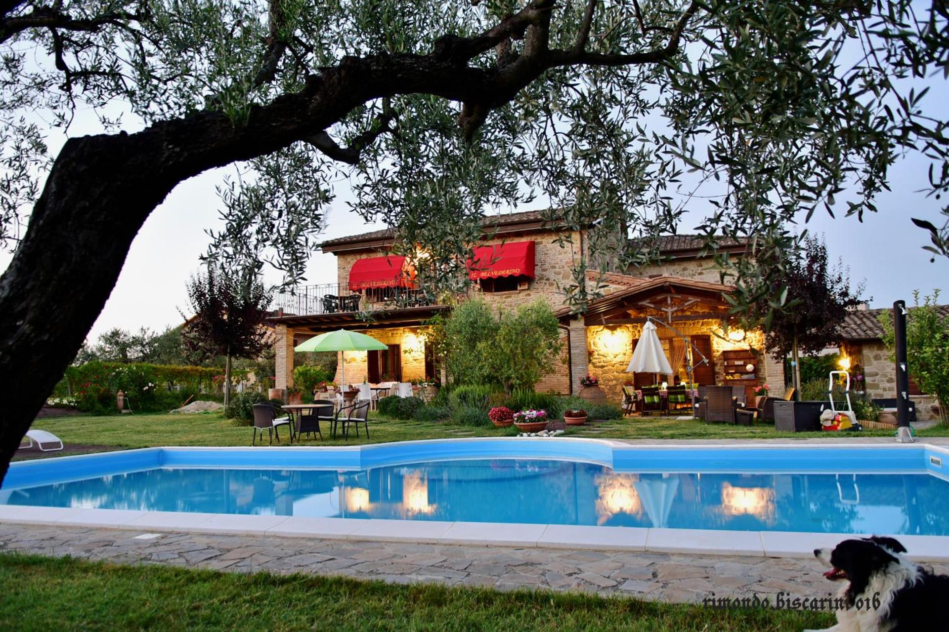 Il Belvederino - Photo 109