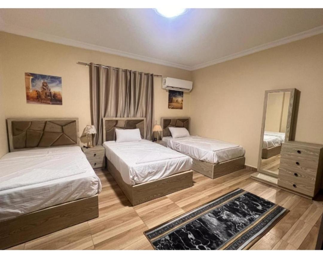 New Capital OF Pyramids - Photo 38