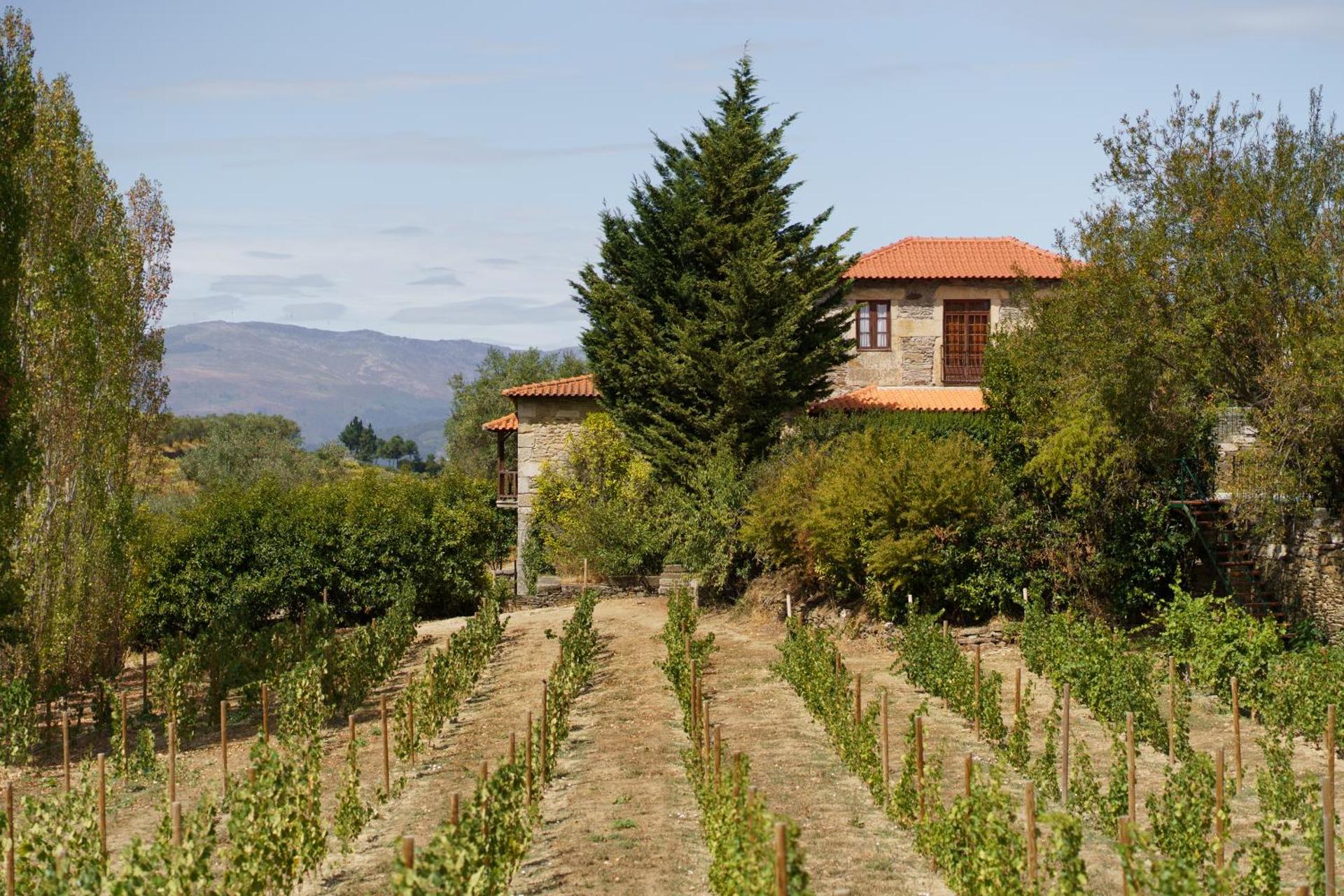 Casa de Sao Miguel Douro - Photo 58