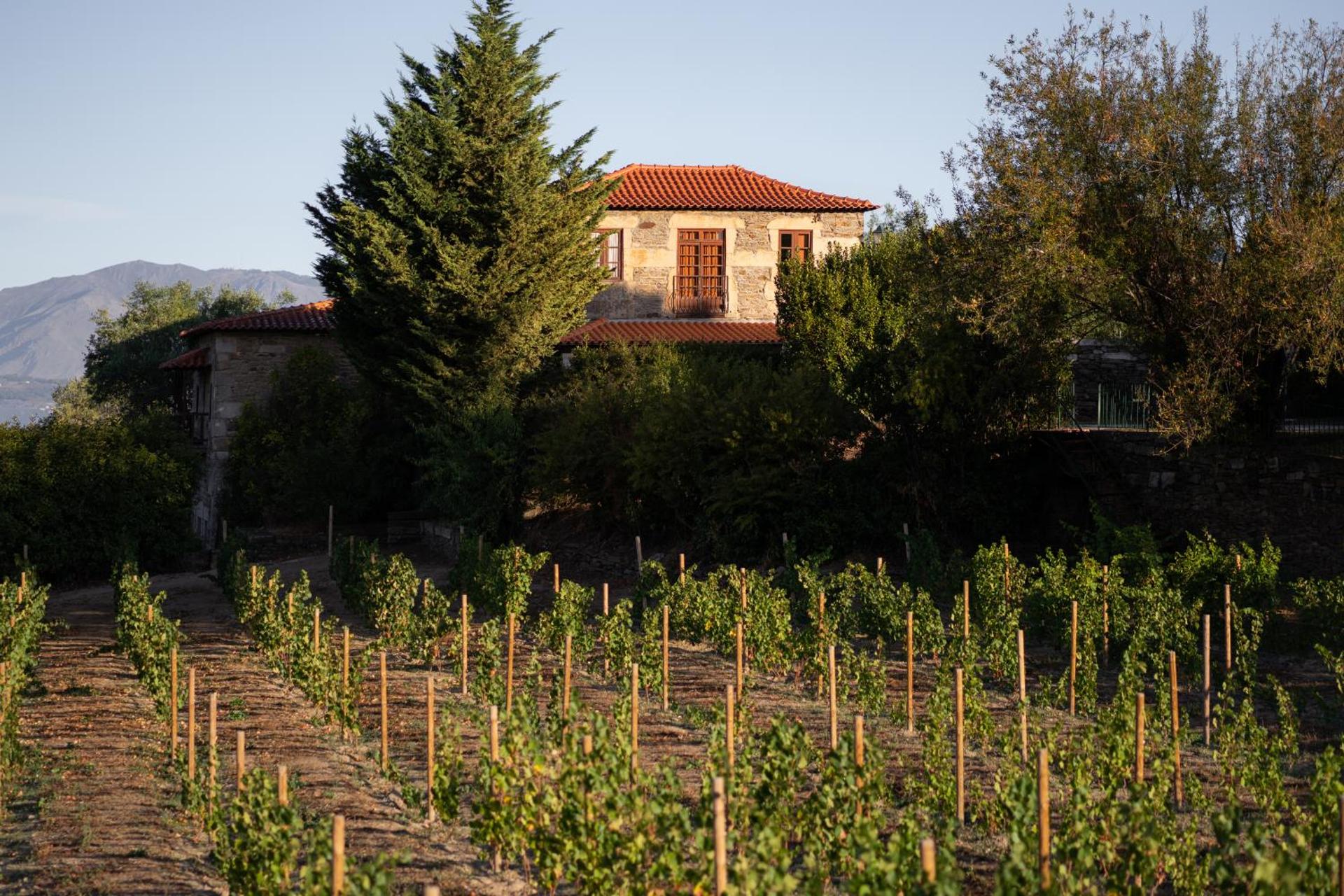 Casa de Sao Miguel Douro - Photo 57