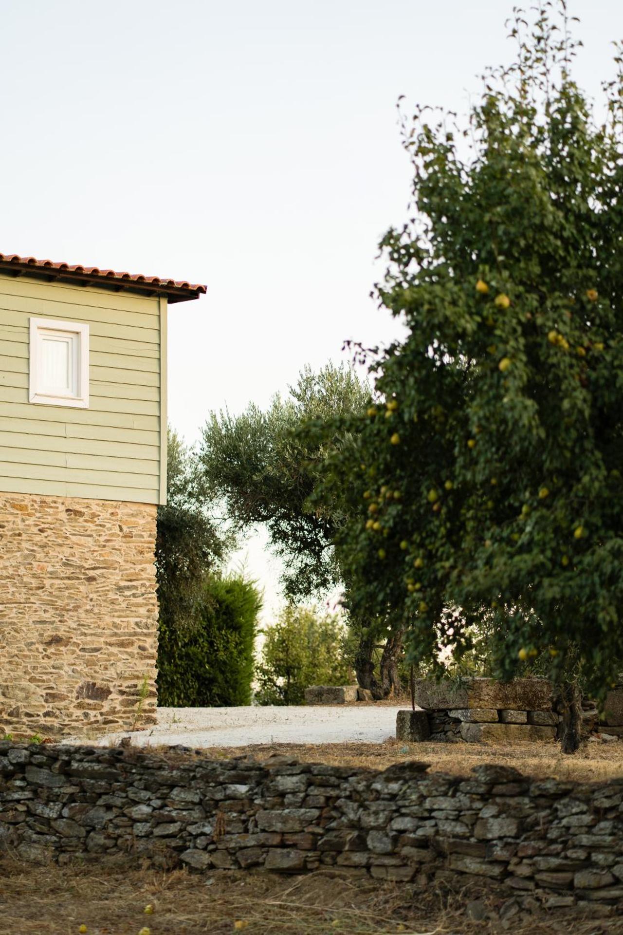 Casa de Sao Miguel Douro - Photo 108