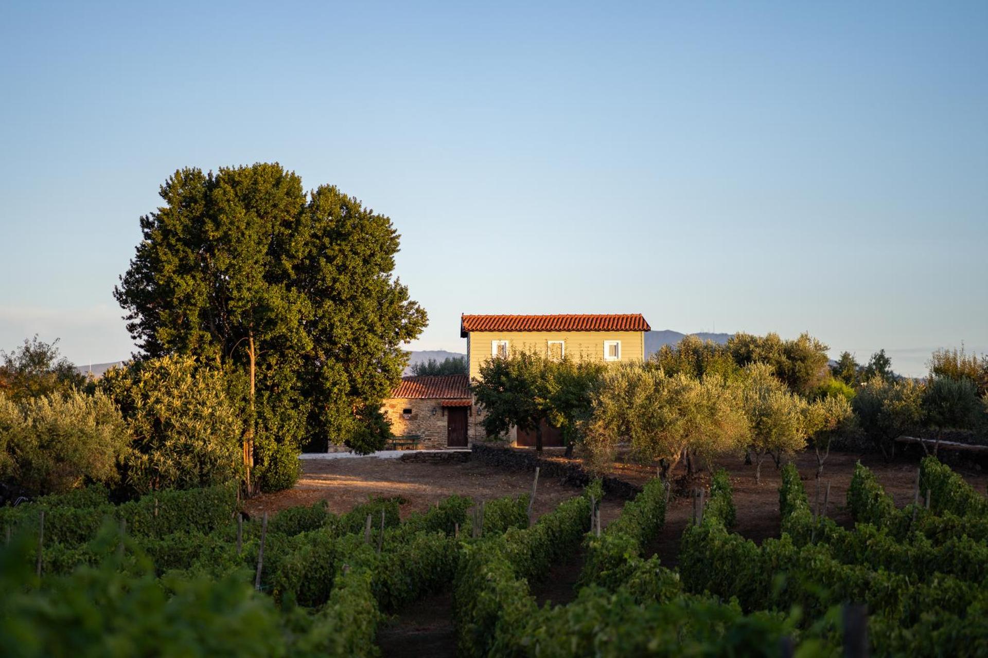 Casa de Sao Miguel Douro - Photo 117