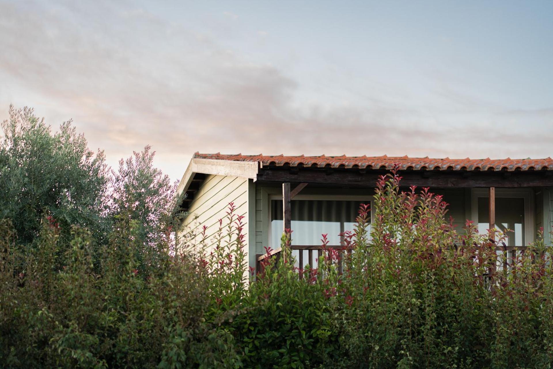 Casa de Sao Miguel Douro - Photo 113