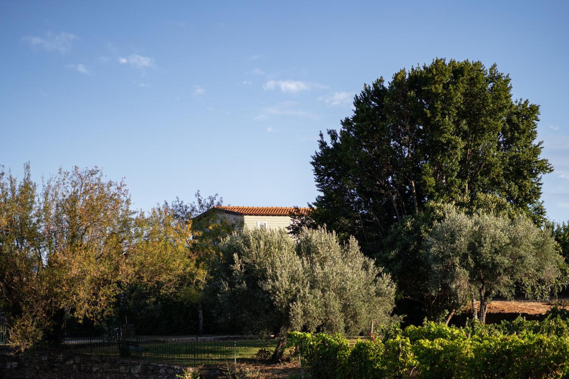 Casa de Sao Miguel Douro - Photo 112