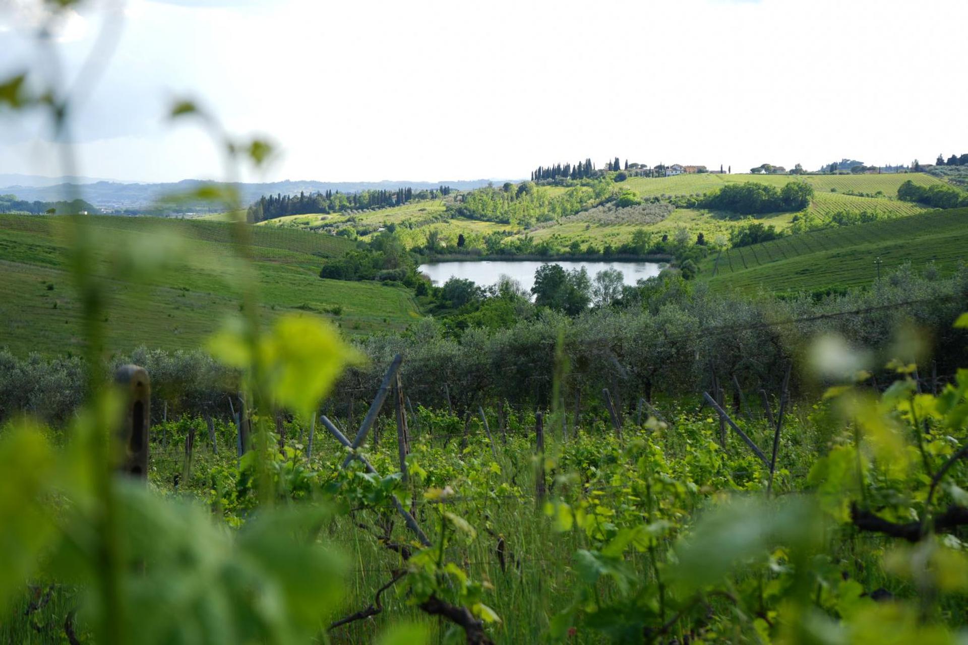 Agriturismo Streda Wine & Country Holiday - Photo 173