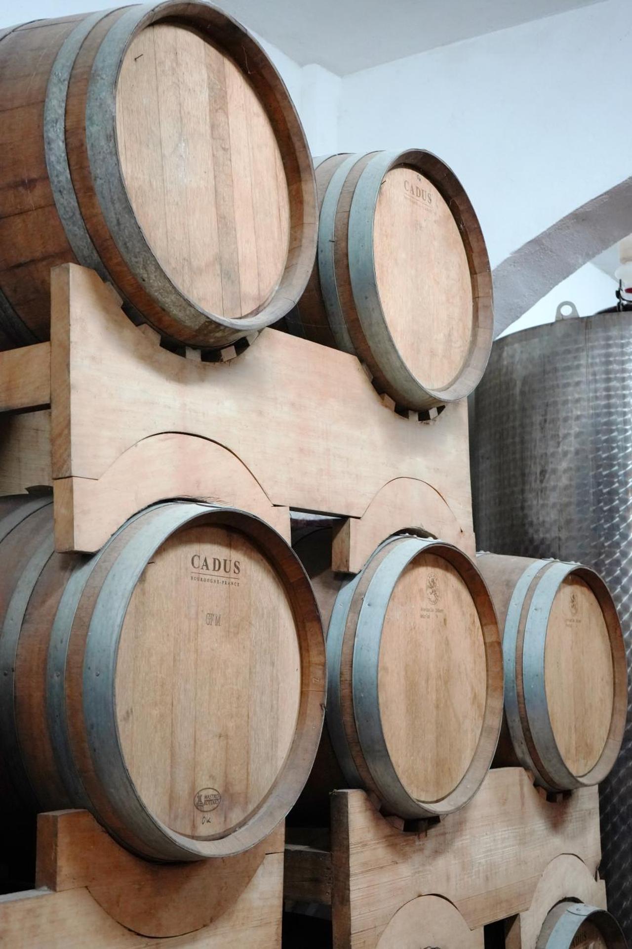 Agriturismo Streda Wine & Country Holiday - Photo 175