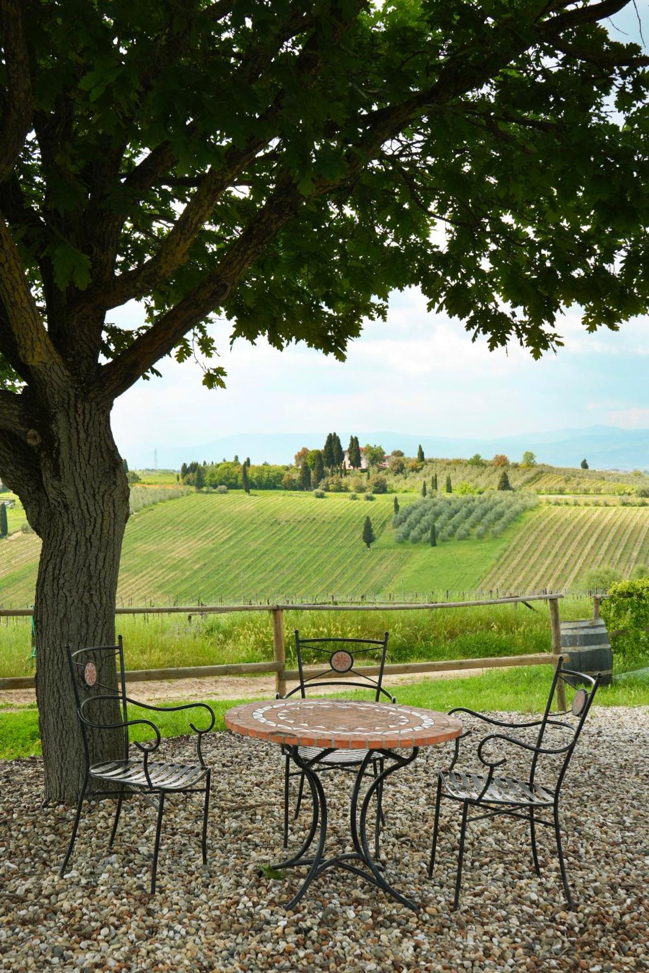 Agriturismo Streda Wine & Country Holiday - Photo 174