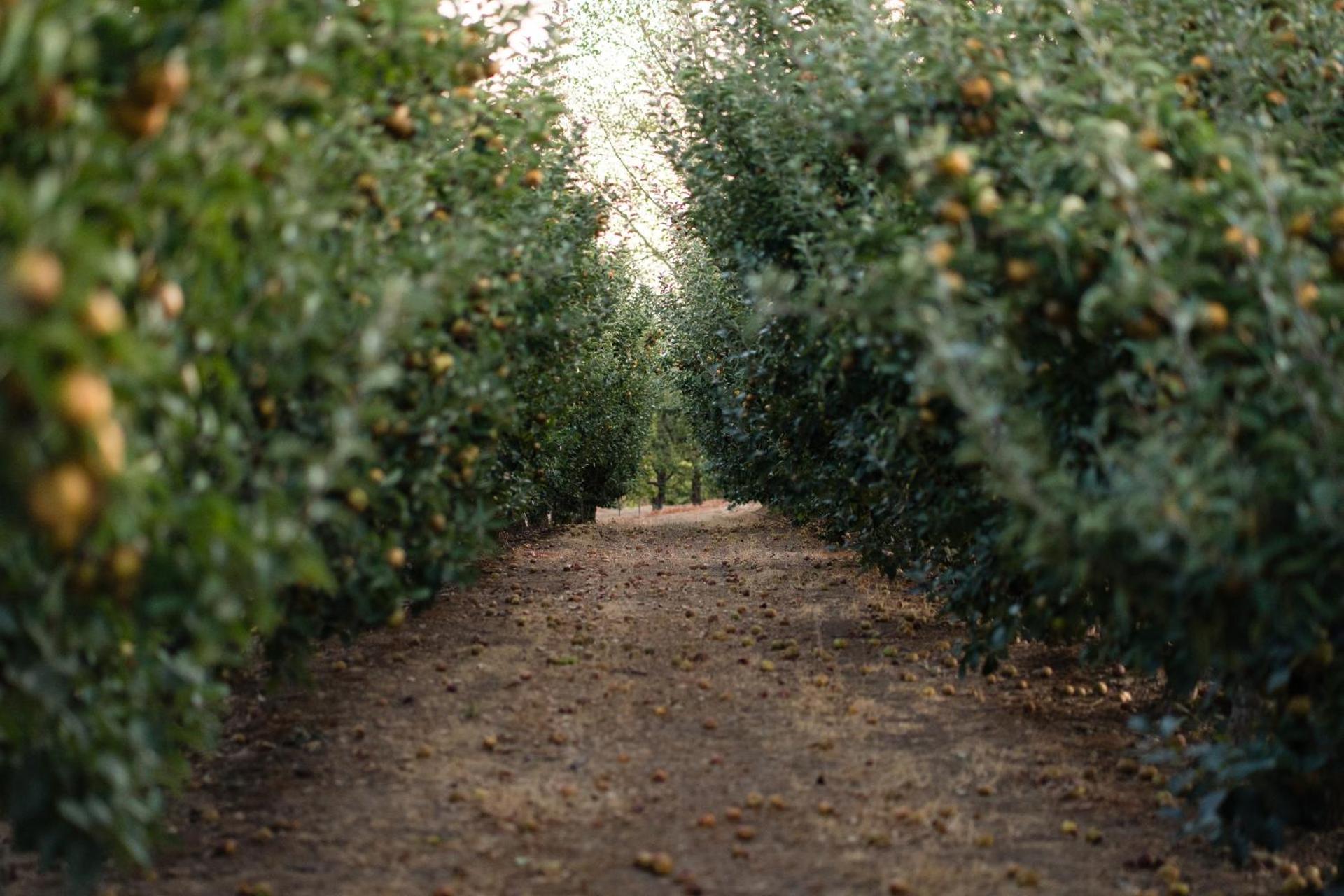 Casa de Sao Miguel Douro - Photo 214