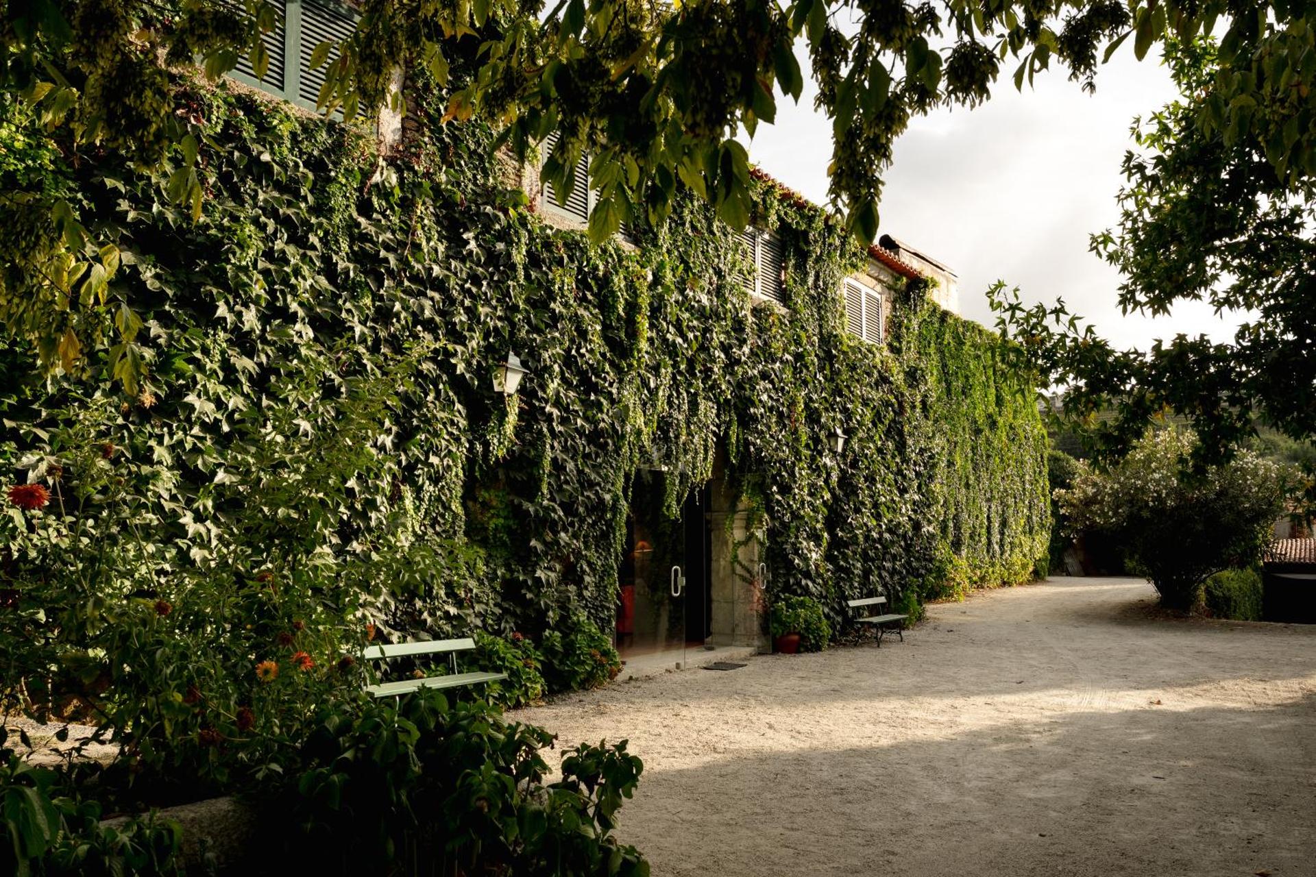 Casa de Sao Miguel Douro - Photo 155