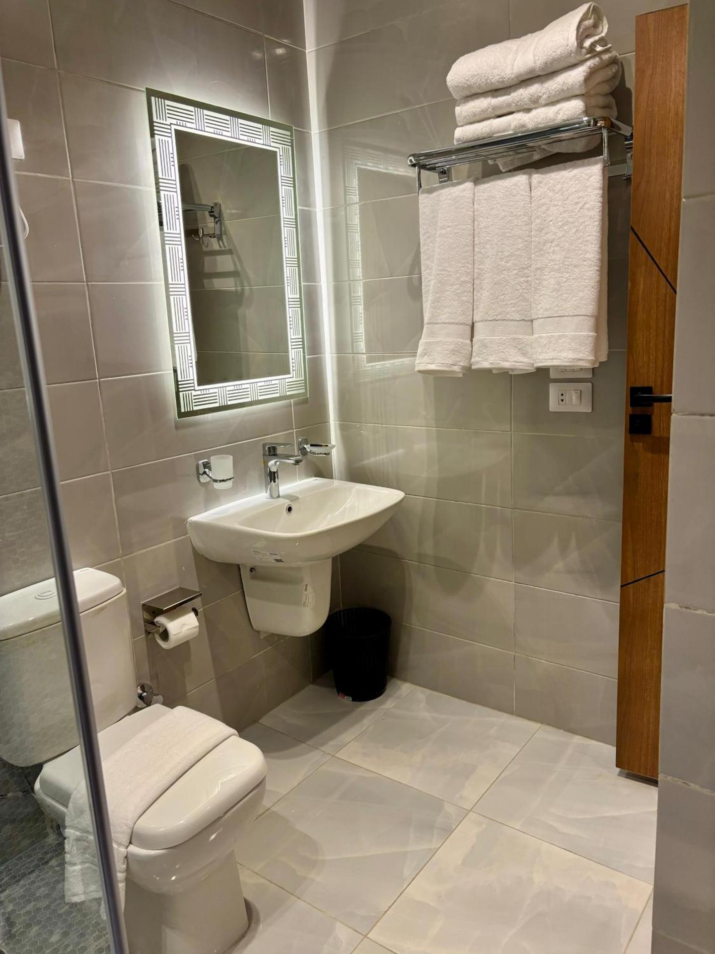 The Palace Pyramids View Hotel - Photo 80