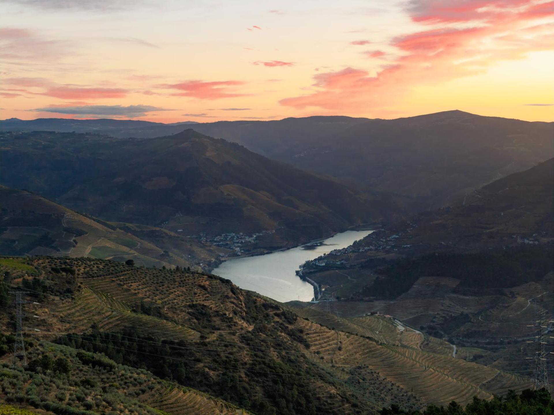 Casa de Sao Miguel Douro - Photo 206
